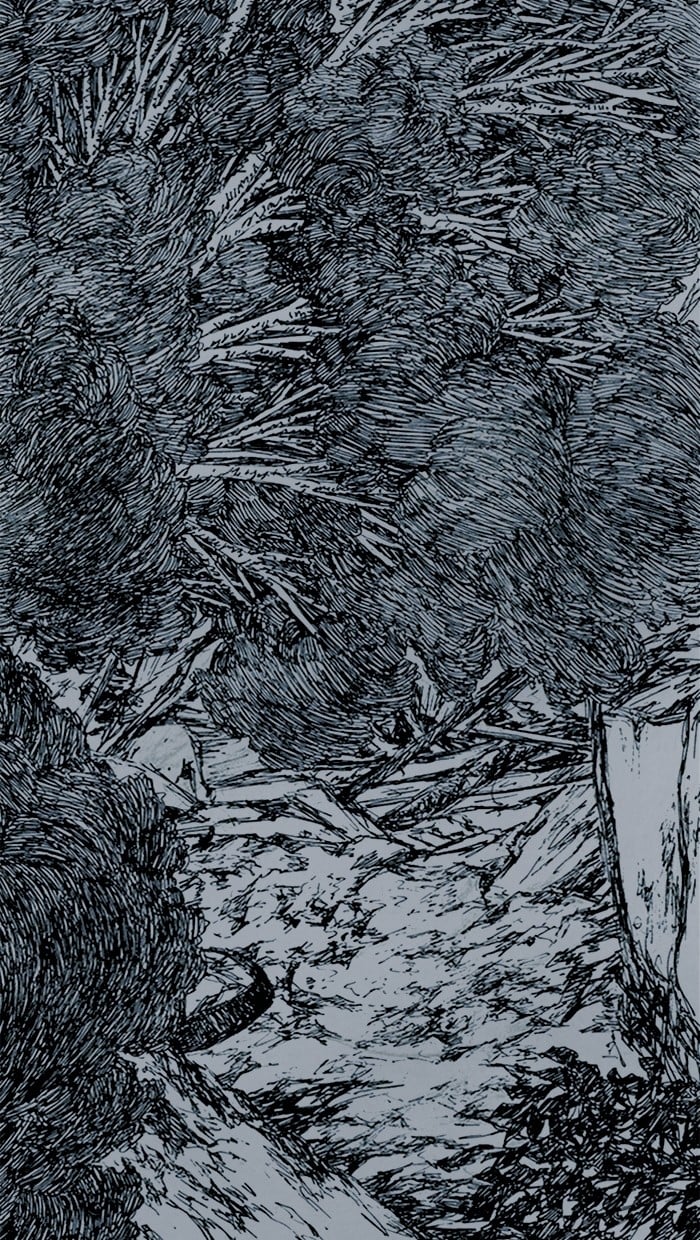 Read Distant Sky en Manga Online