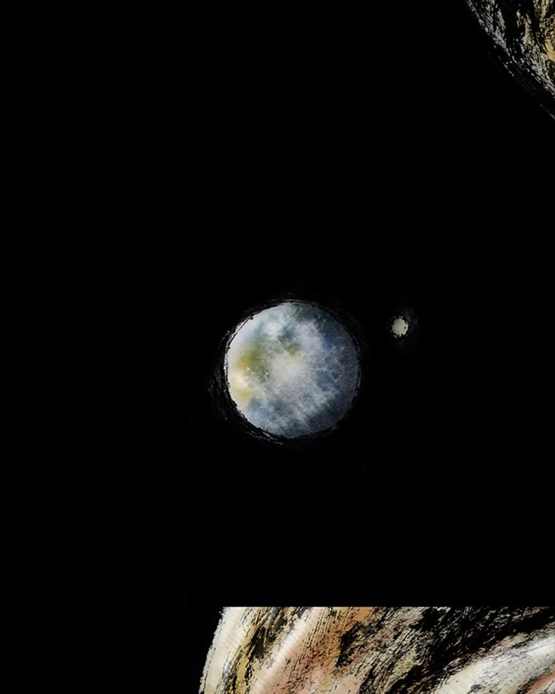 Read Distant Sky en Manga Online