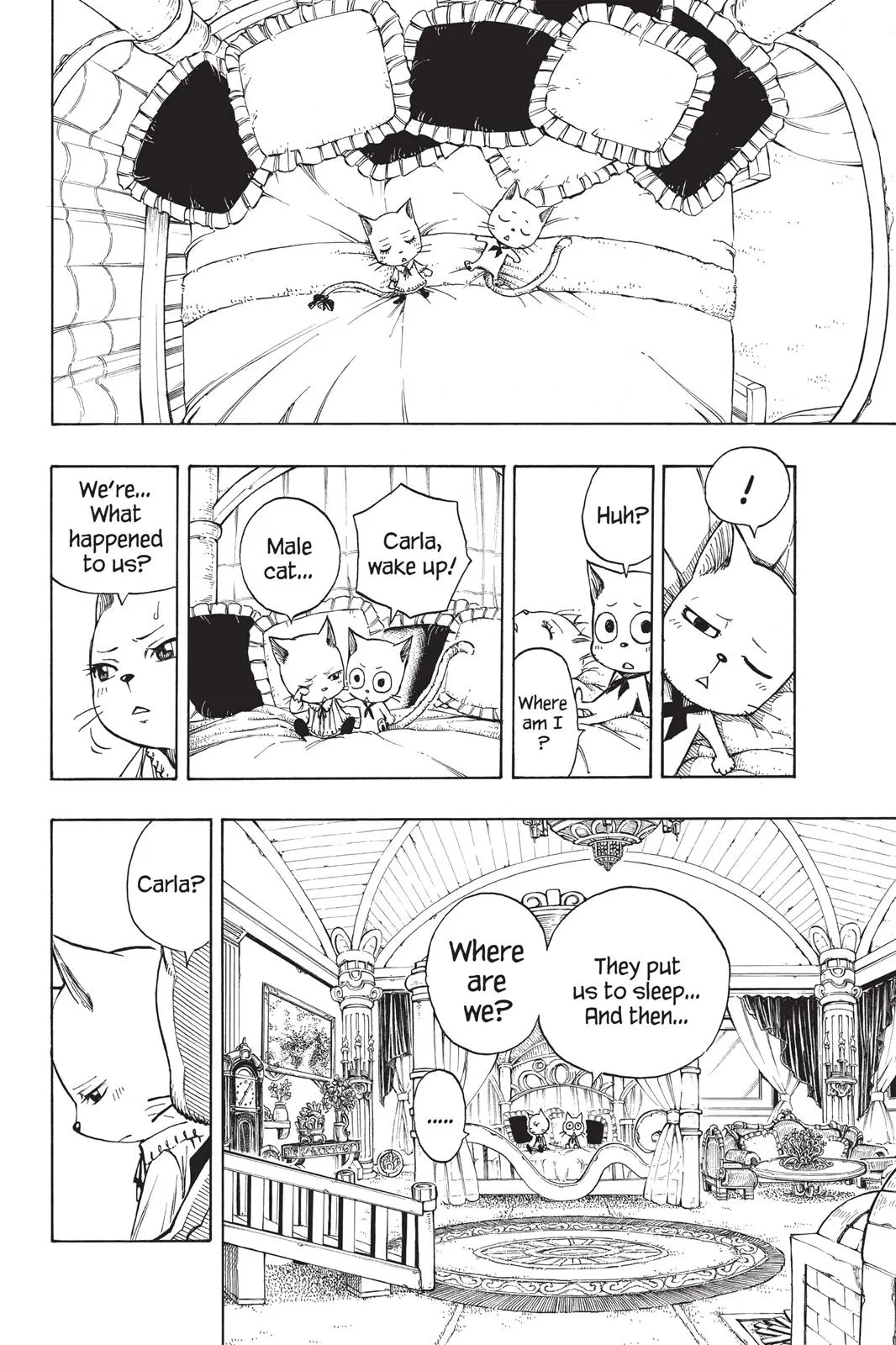 Read Fairy Tail en Manga Online