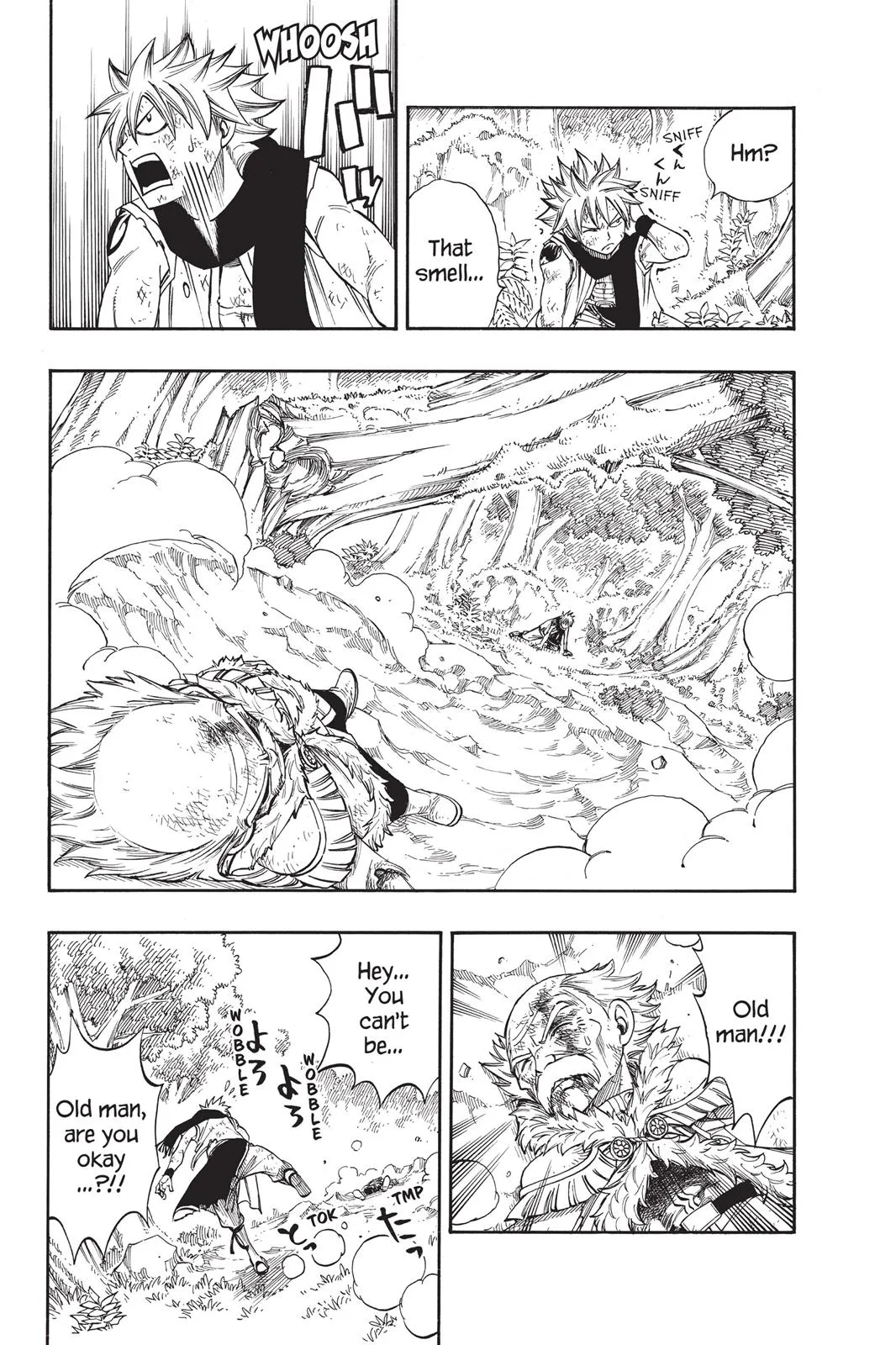 Read Fairy Tail en Manga Online