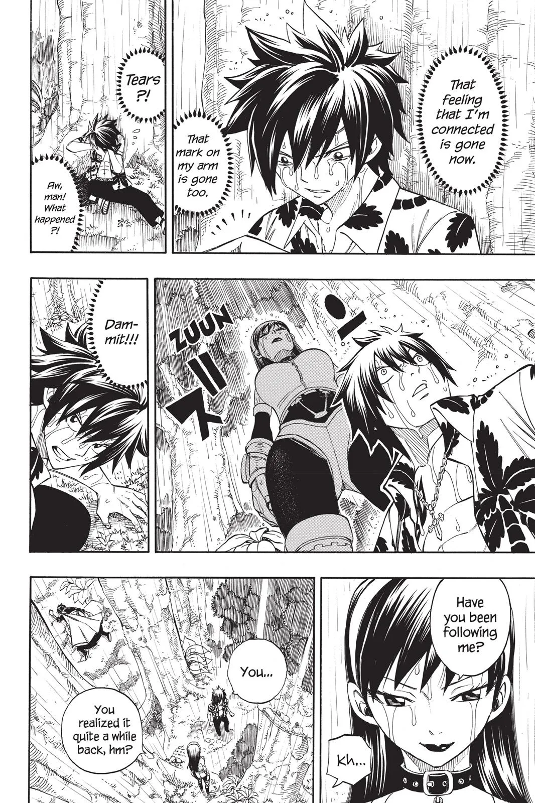 Read Fairy Tail en Manga Online