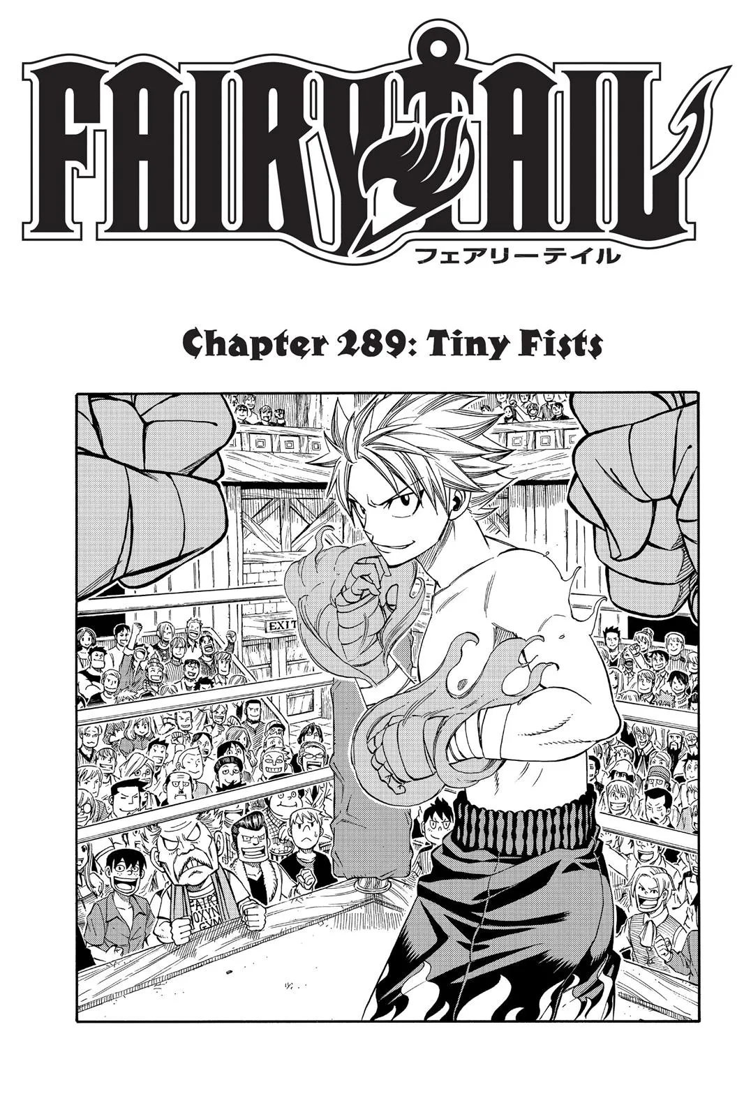 Read Fairy Tail en Manga Online