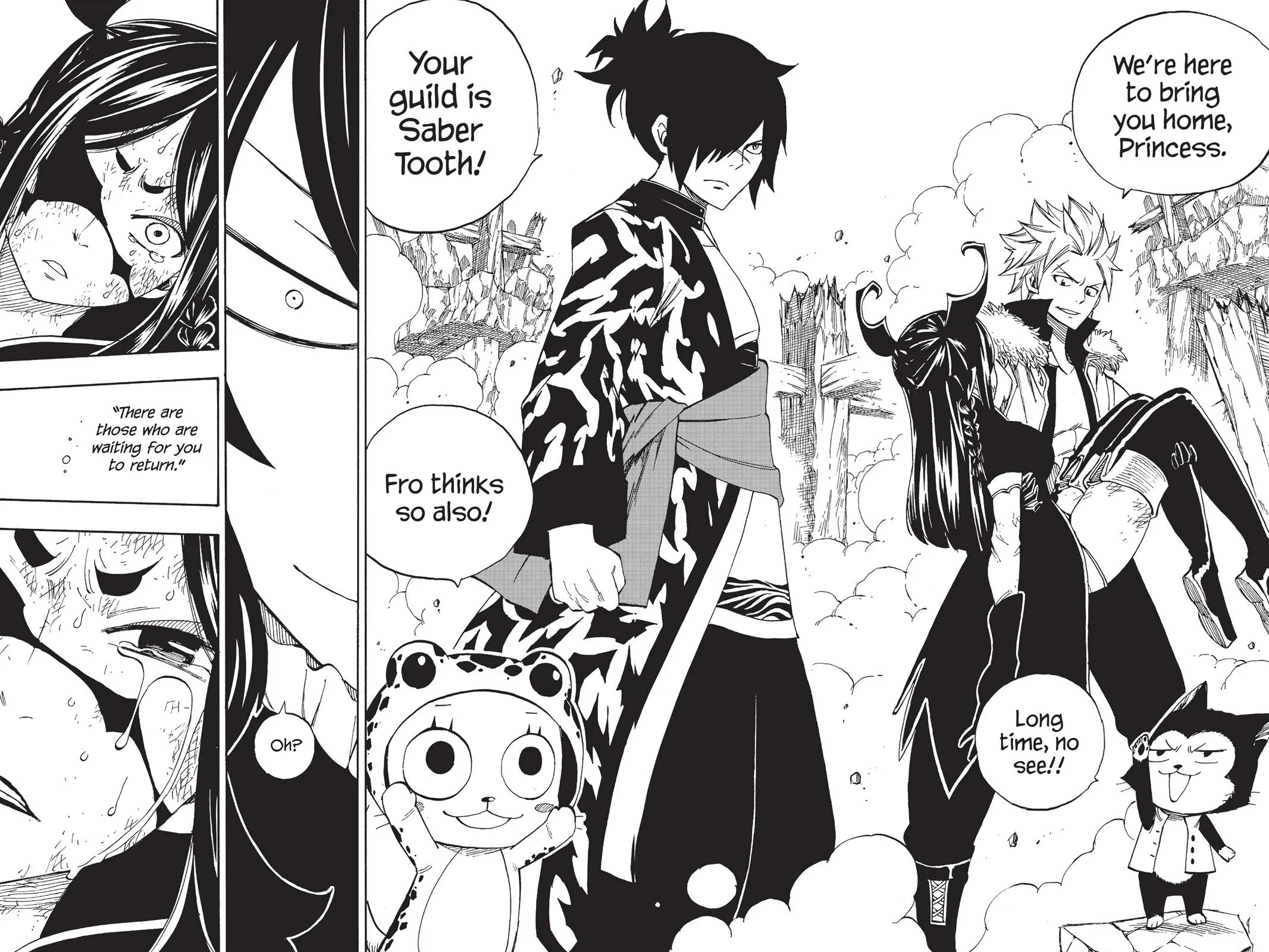 Read Fairy Tail en Manga Online