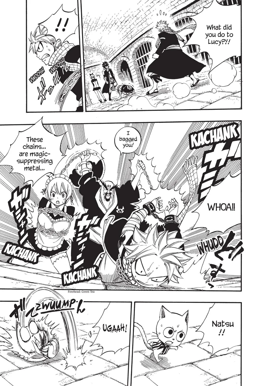 Read Fairy Tail en Manga Online