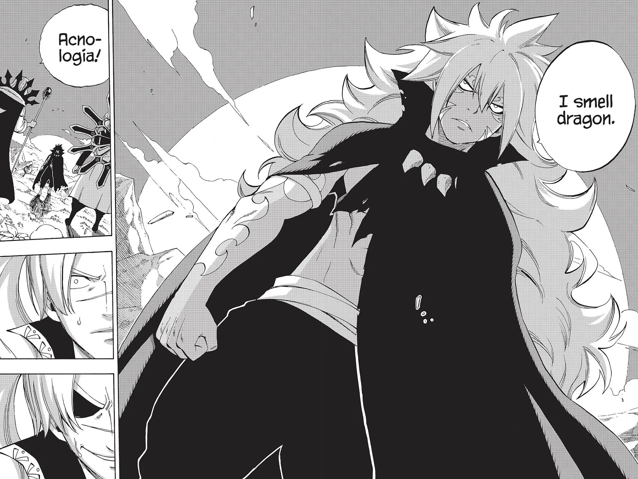 Read Fairy Tail en Manga Online