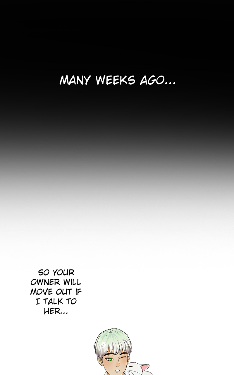 Read Freaking Romance en Manga Online