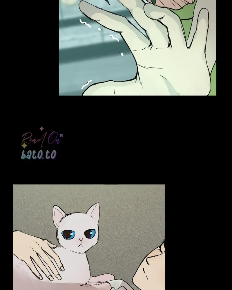 Read Freaking Romance en Manga Online