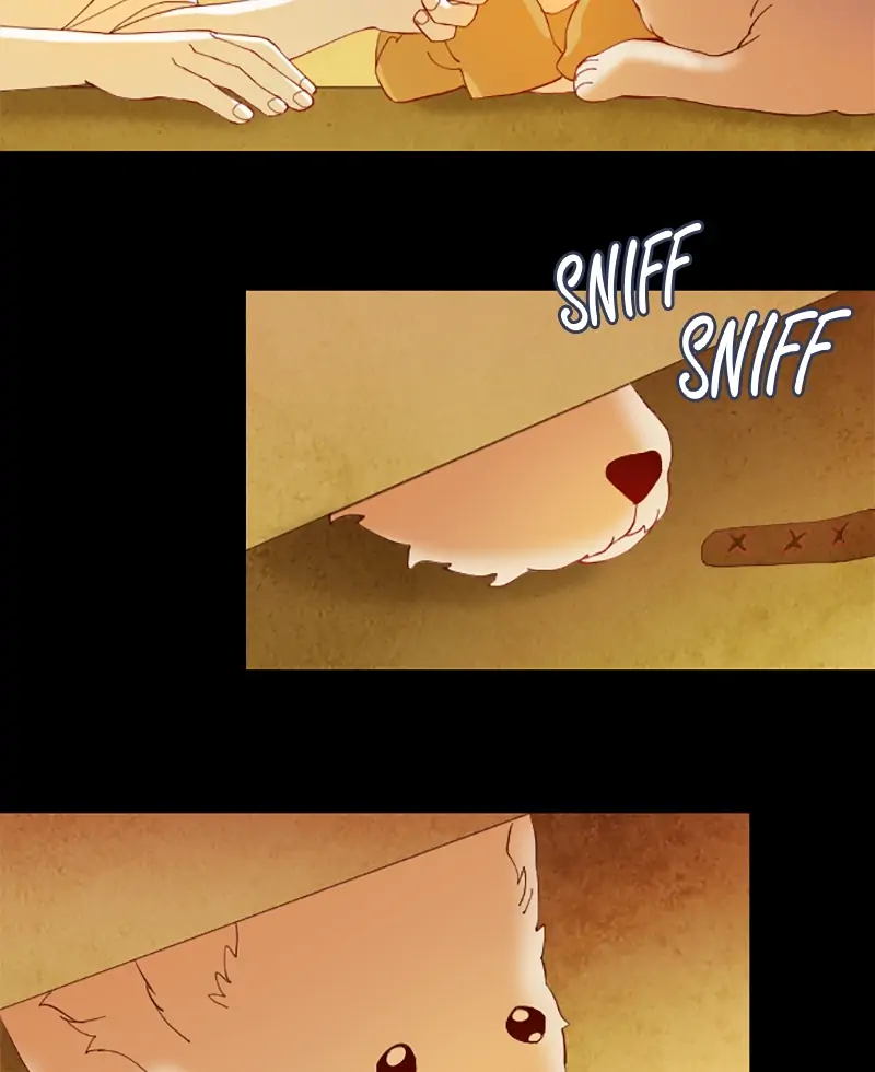 Read Ghost Teller en Manga Online