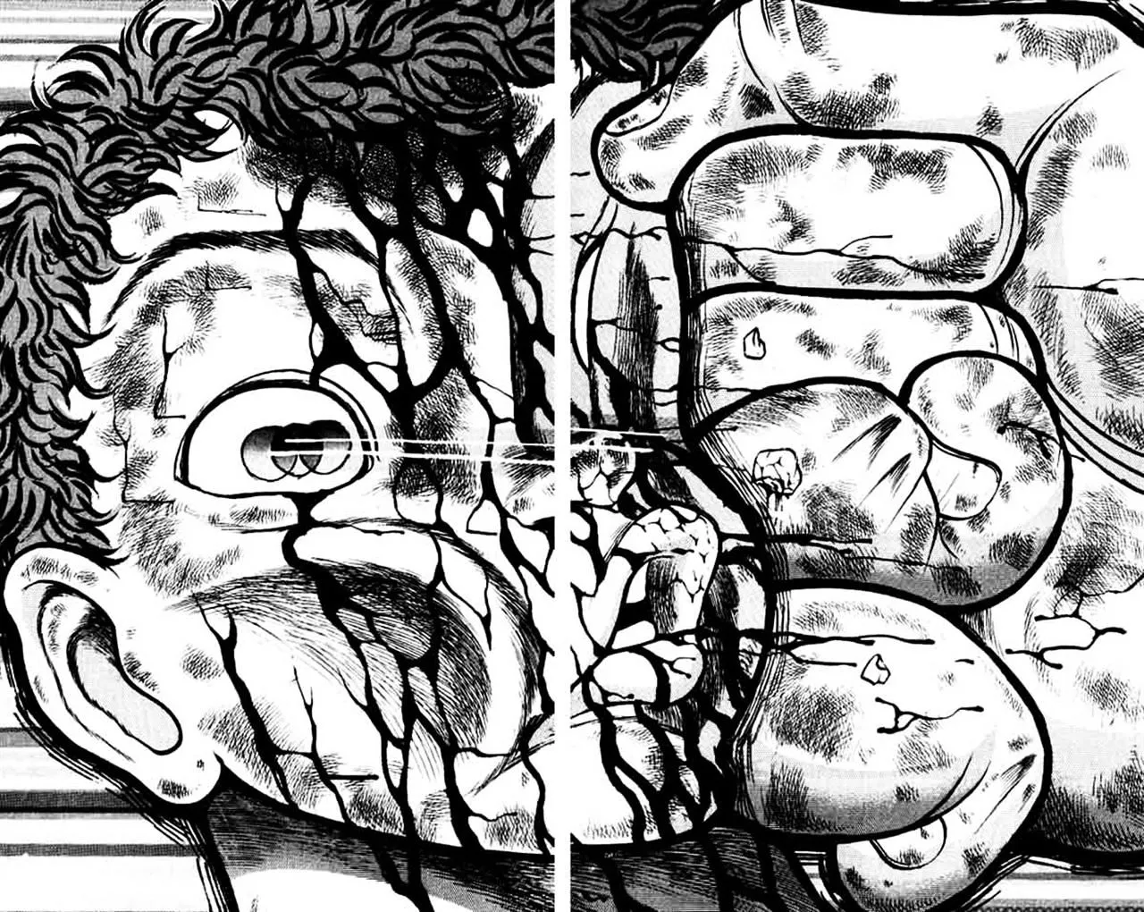 Read Grappler Baki en Manga Online