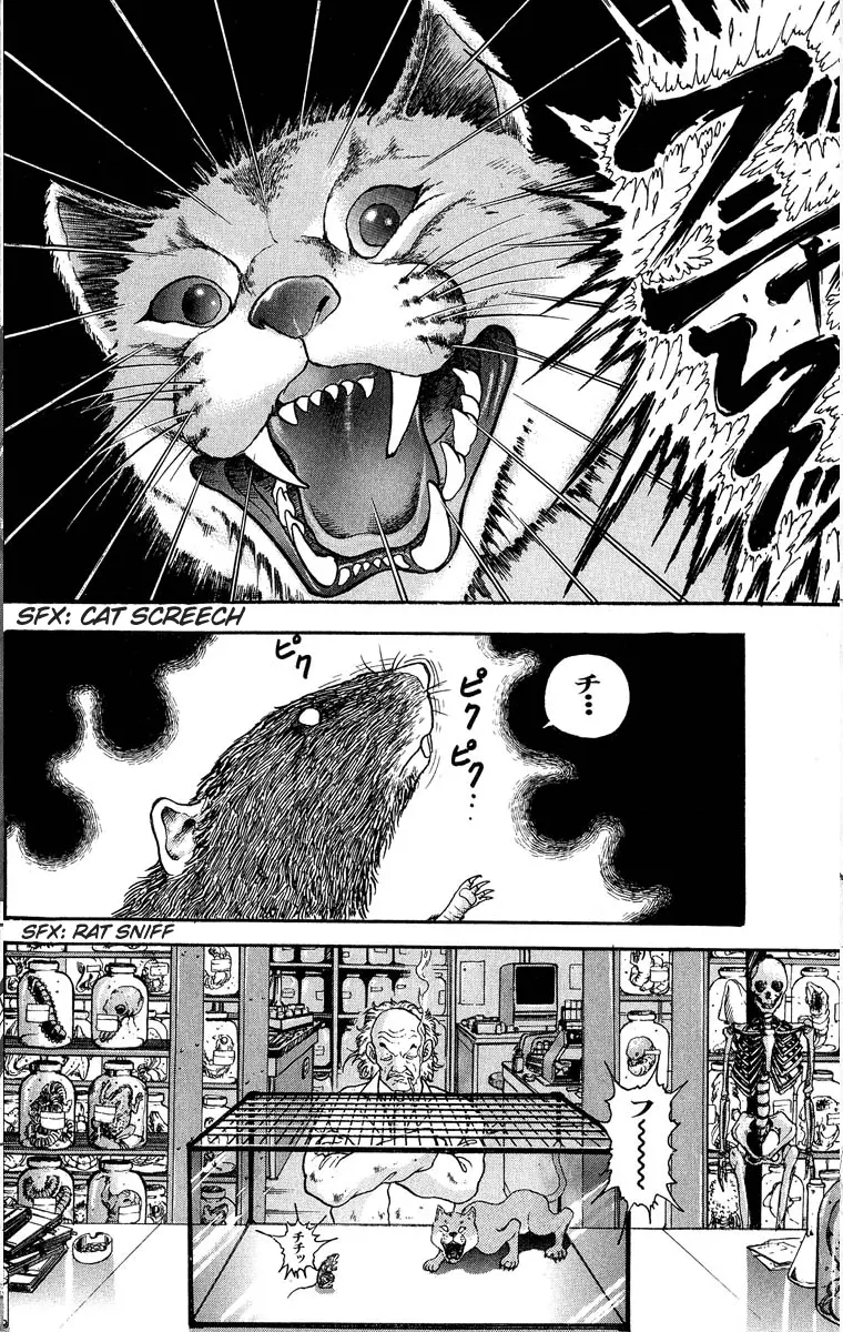 Read Grappler Baki en Manga Online