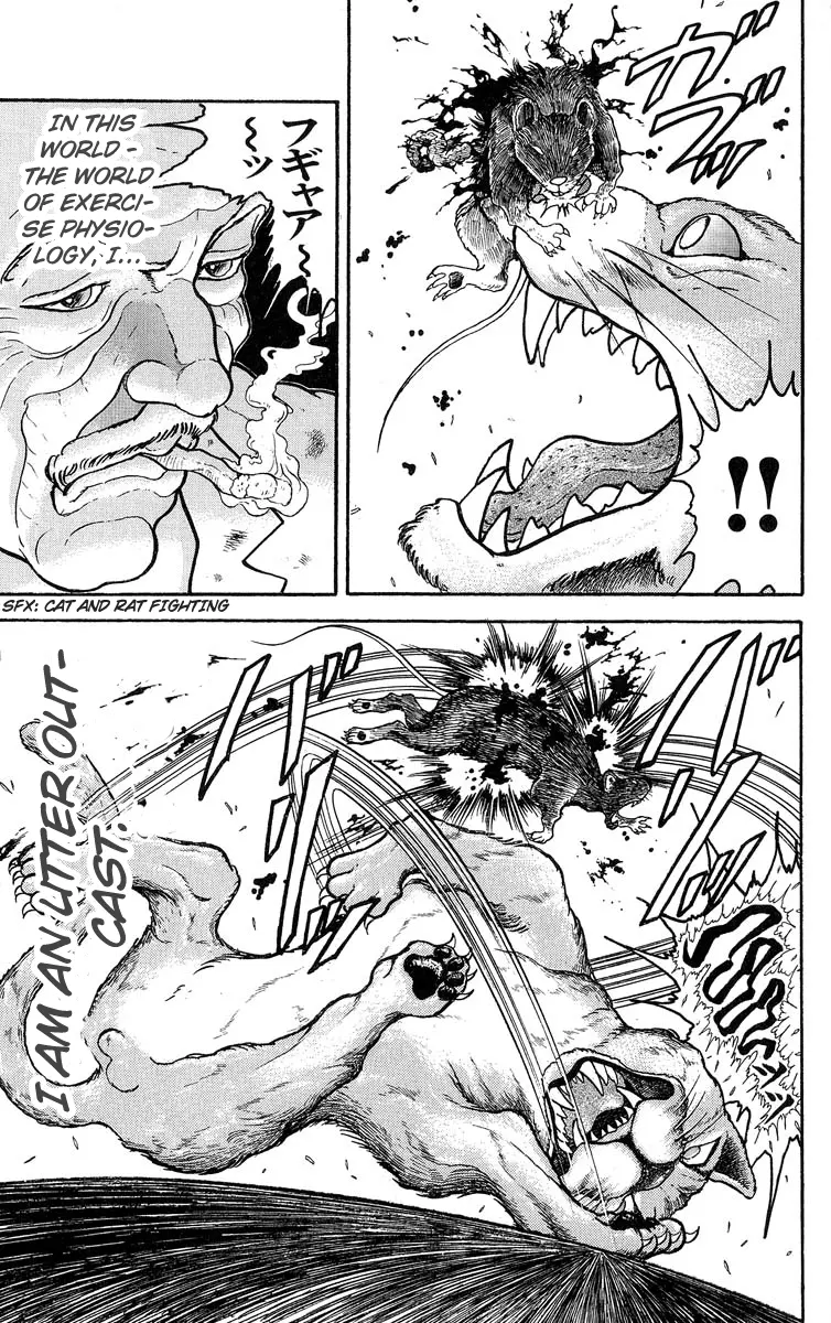 Read Grappler Baki en Manga Online