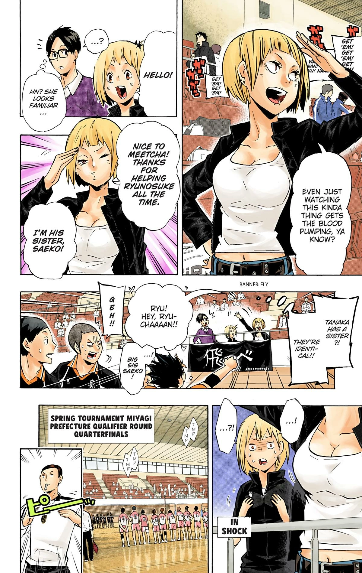 Read Haikyu en Manga Online