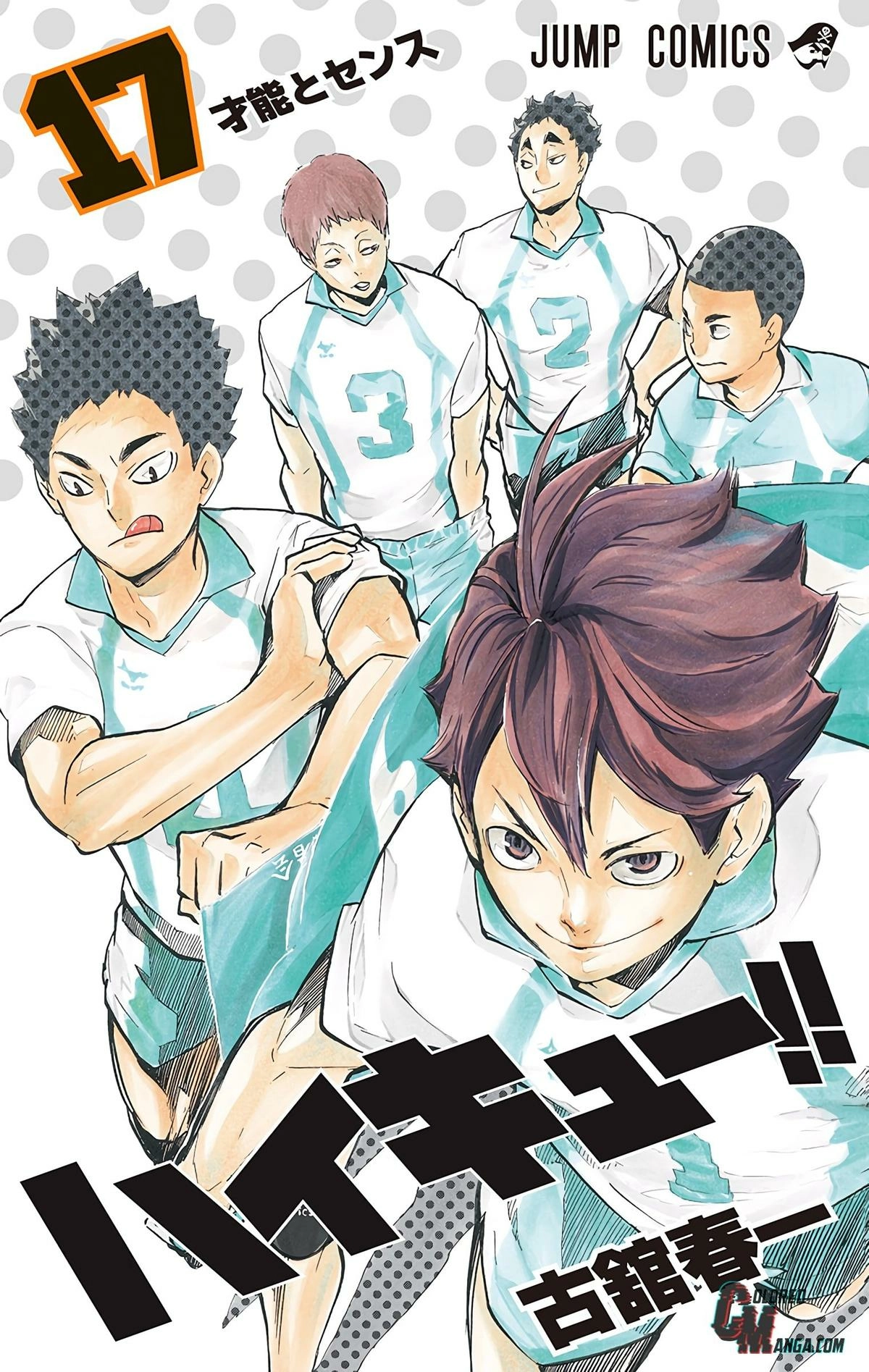 Read Haikyu en Manga Online