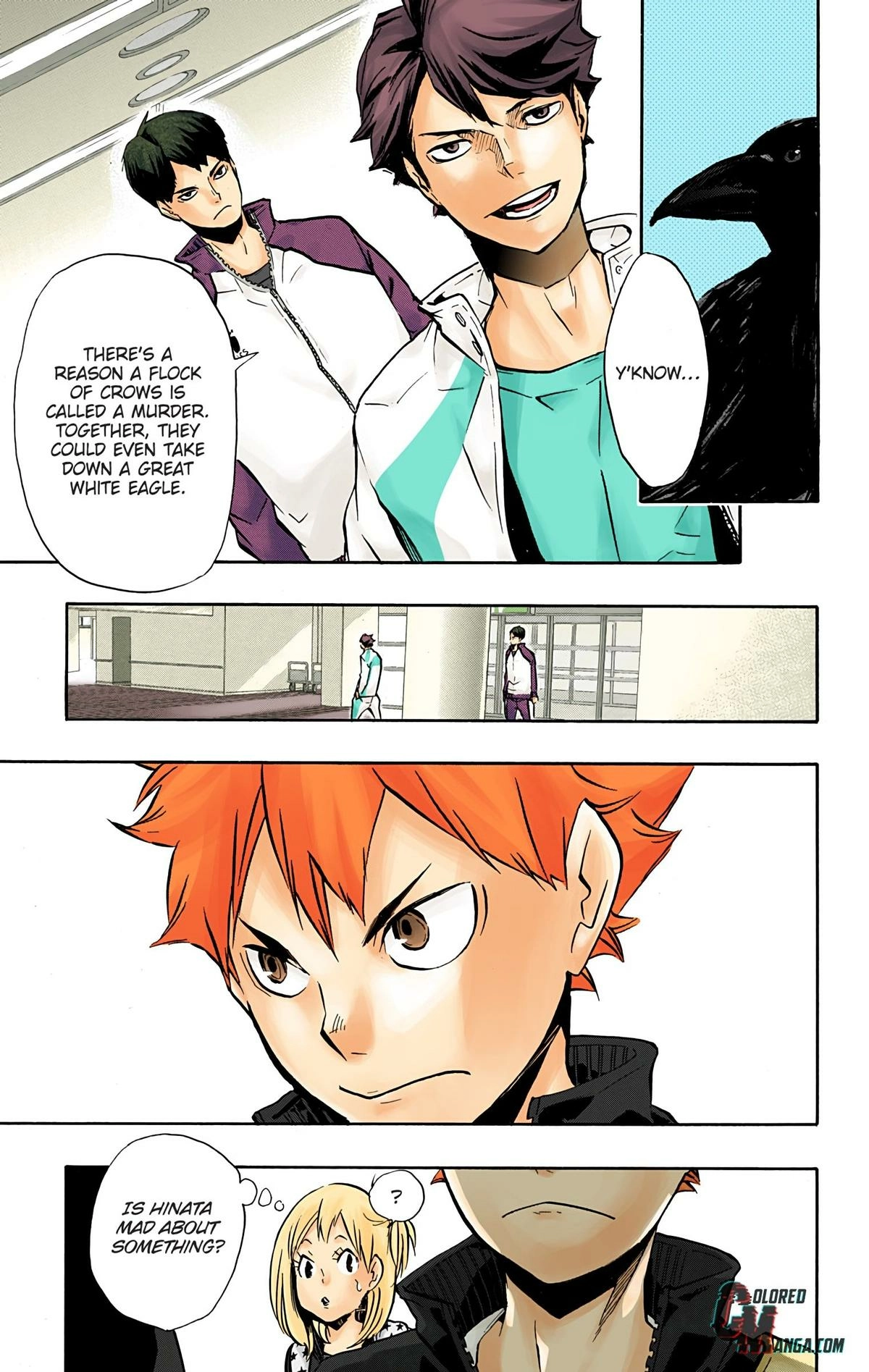 Read Haikyu en Manga Online