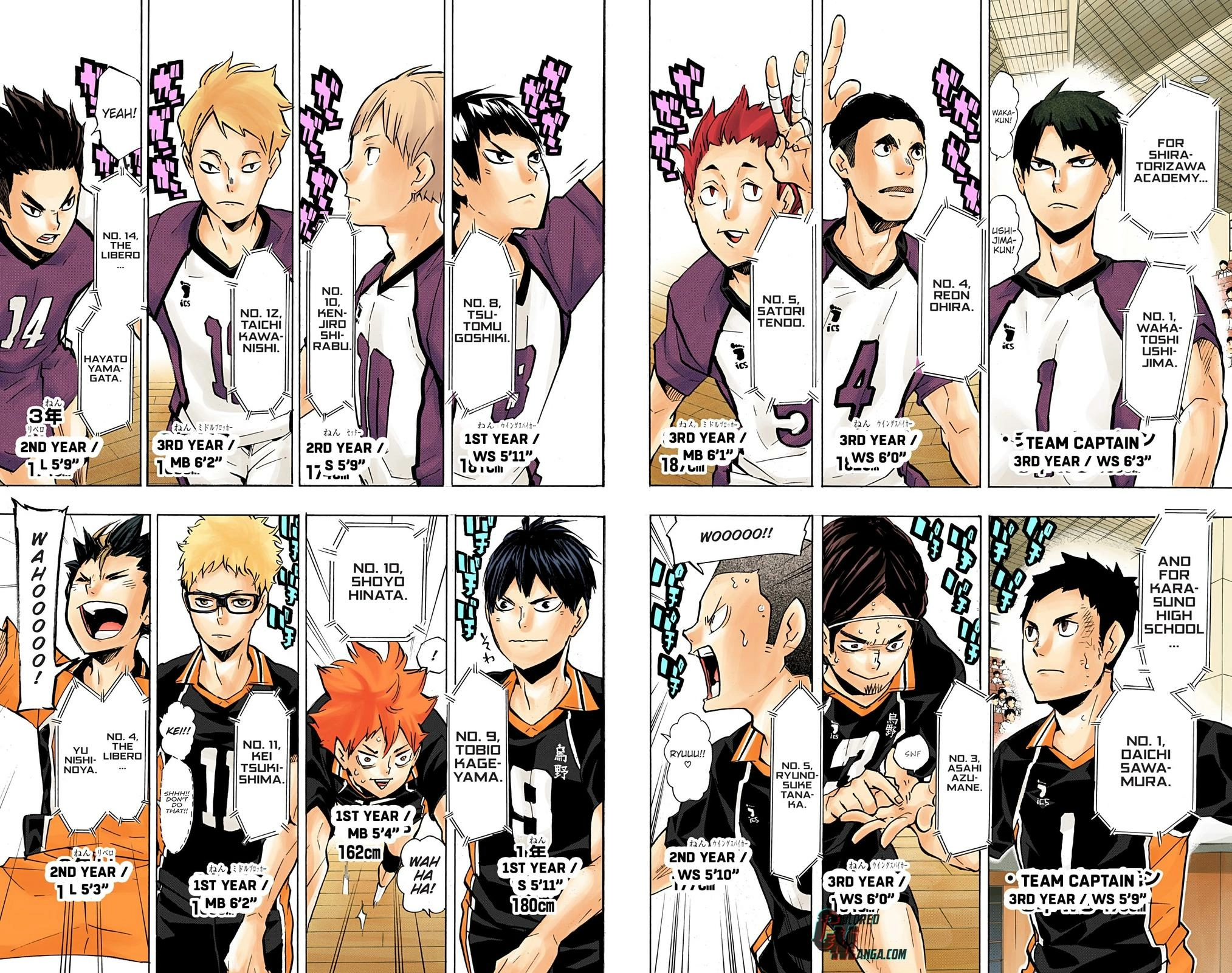 Read Haikyu en Manga Online