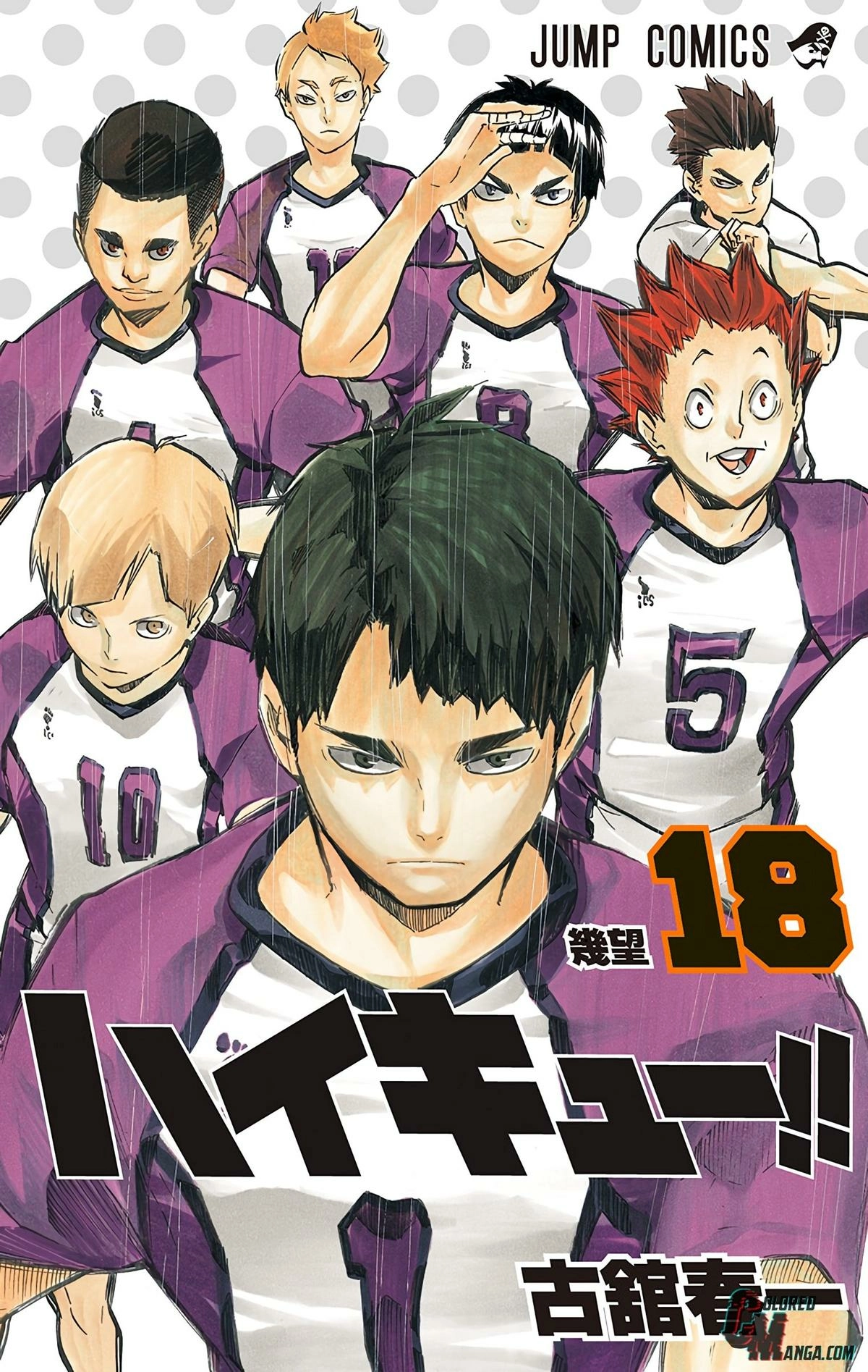 Read Haikyu en Manga Online