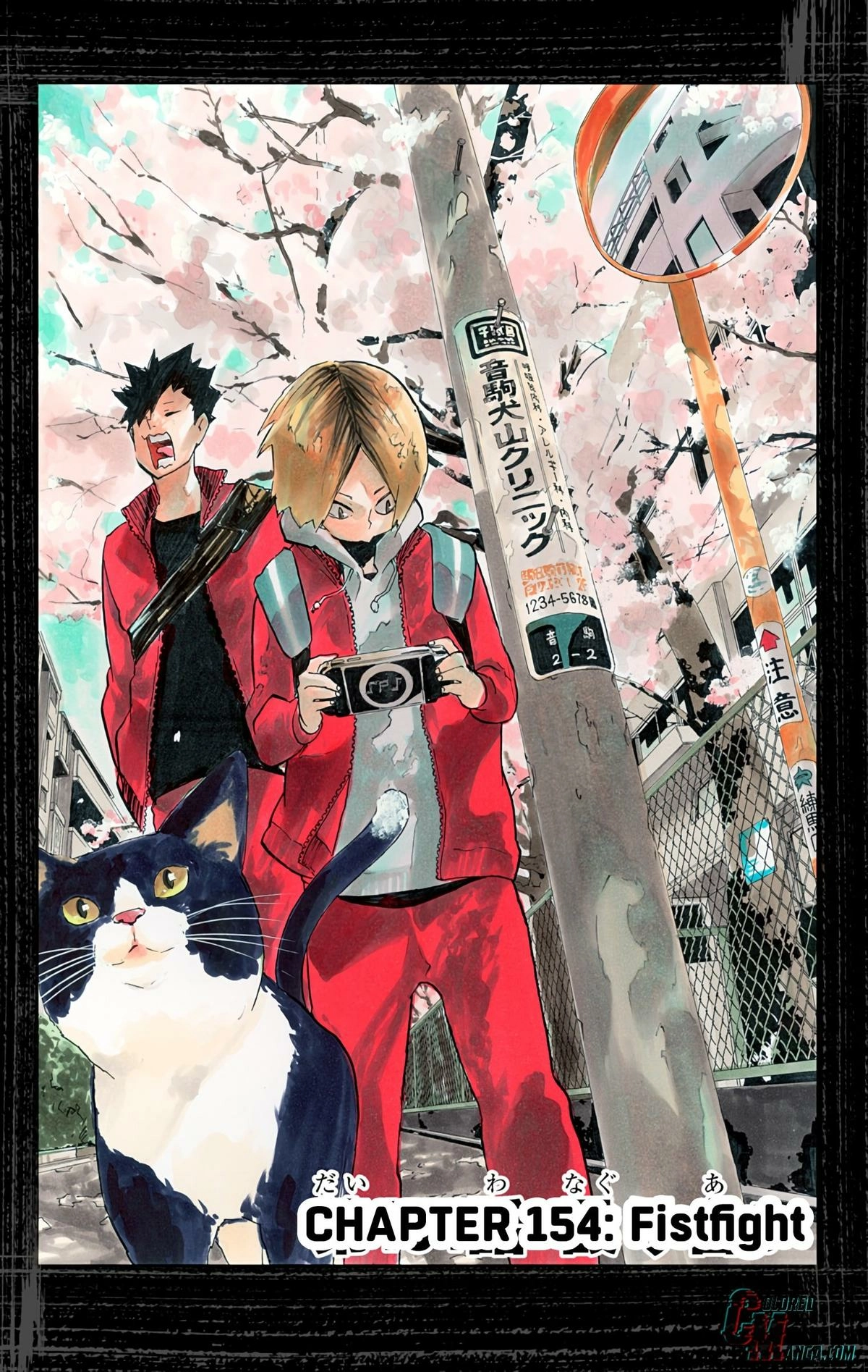 Read Haikyu en Manga Online