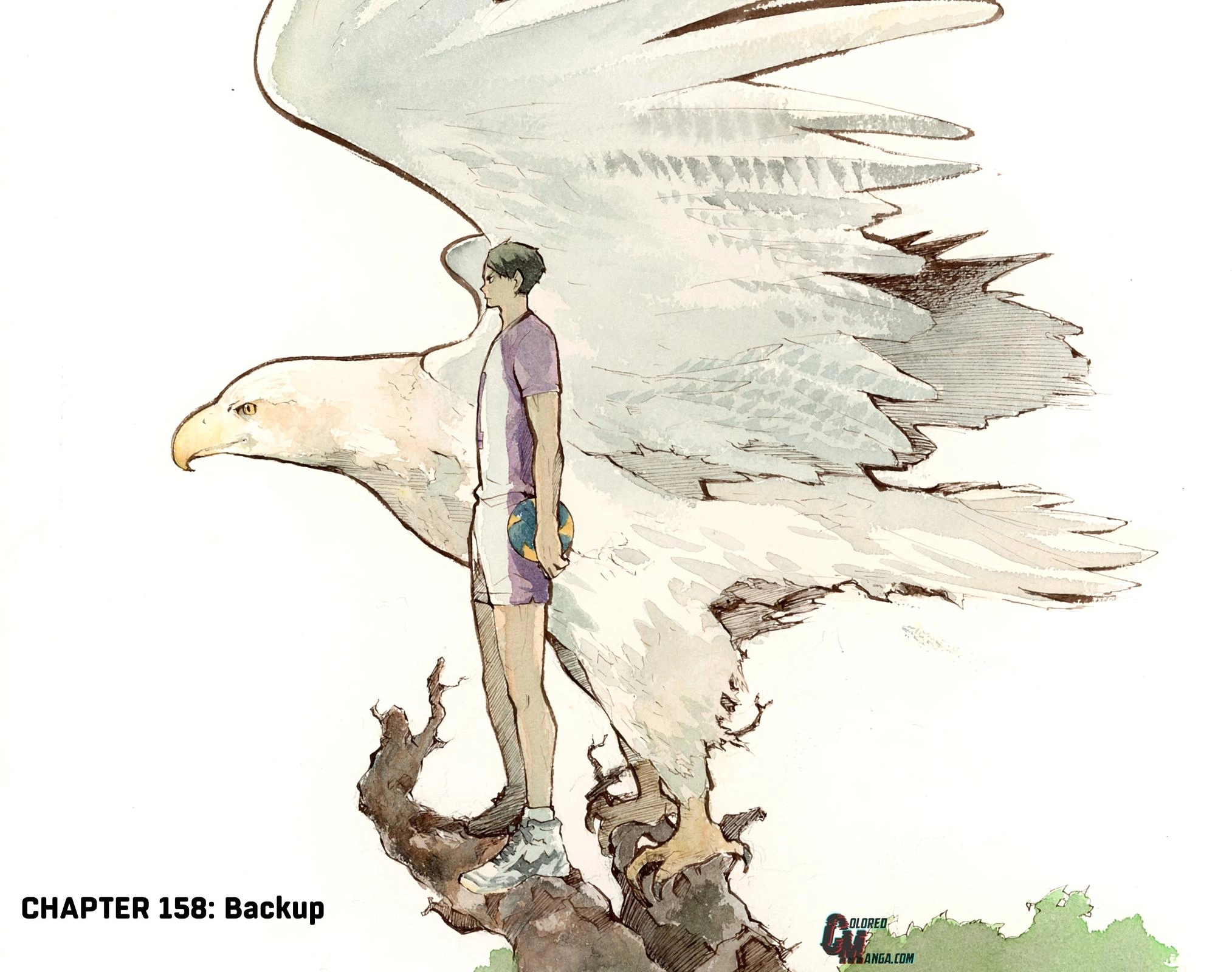 Read Haikyu en Manga Online