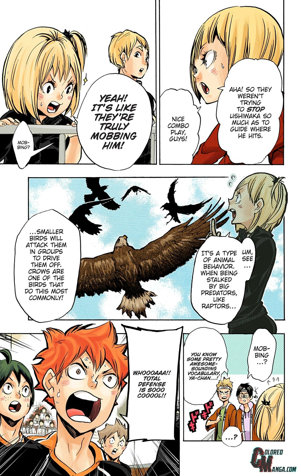 Read Haikyu en Manga Online