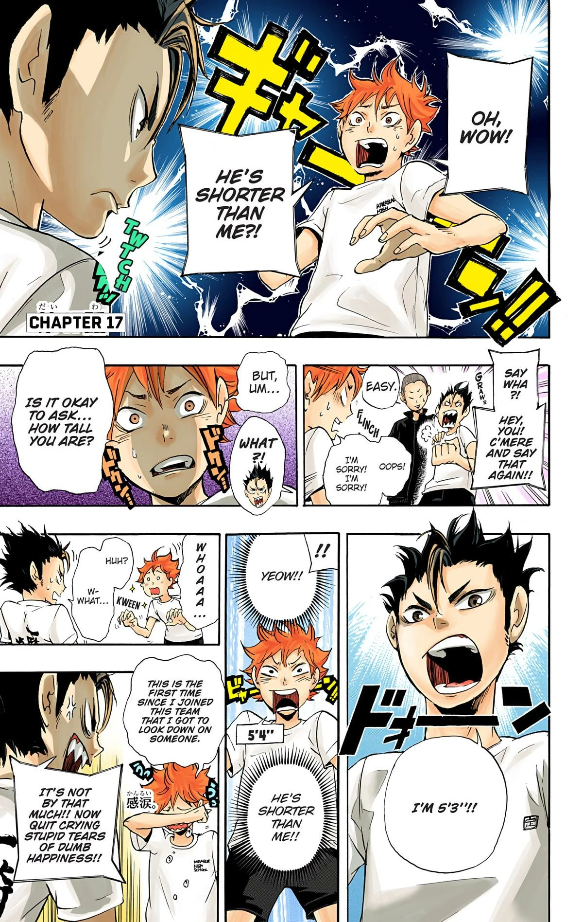 Read Haikyu en Manga Online