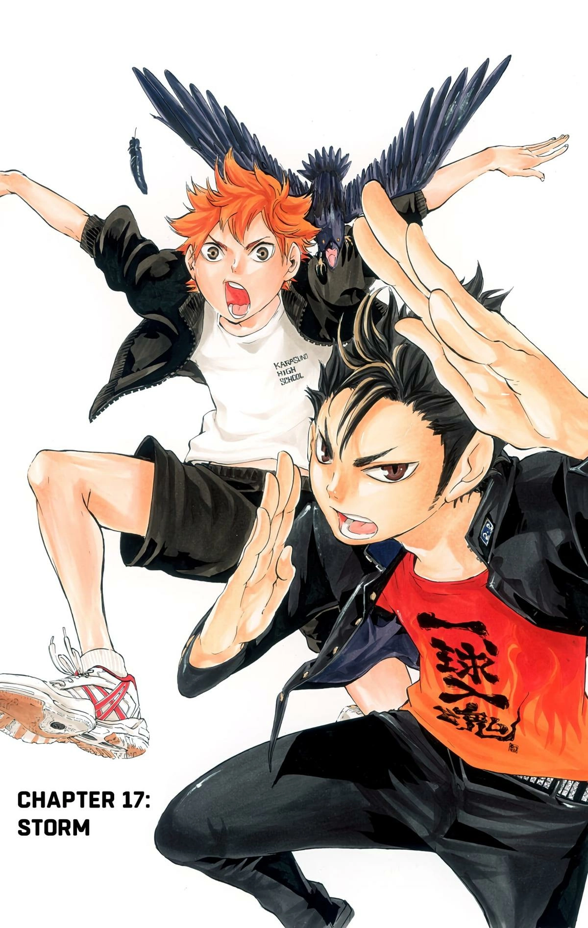 Read Haikyu en Manga Online