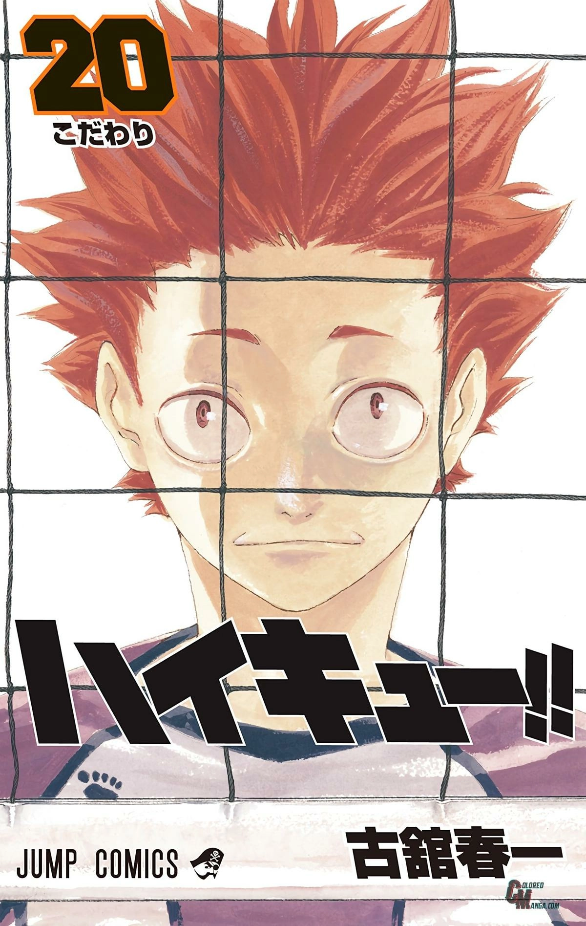 Read Haikyu en Manga Online
