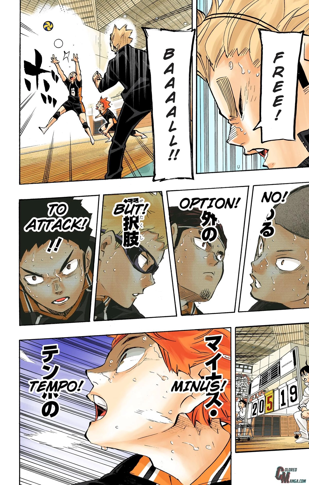 Read Haikyu en Manga Online