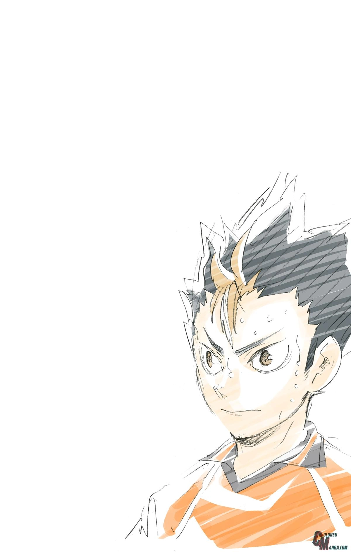 Read Haikyu en Manga Online