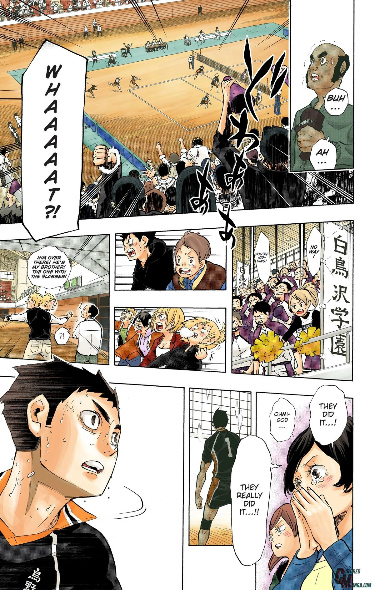 Read Haikyu en Manga Online
