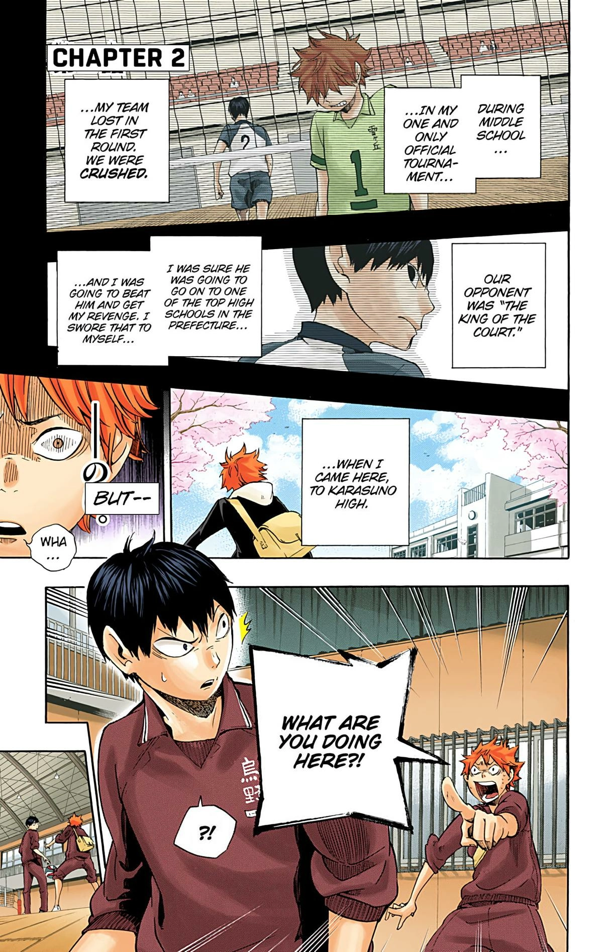 Read Haikyu en Manga Online