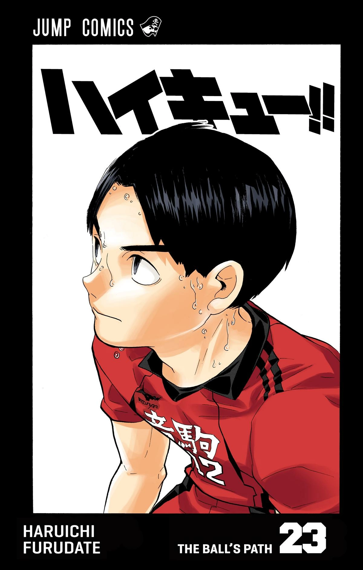 Read Haikyu en Manga Online