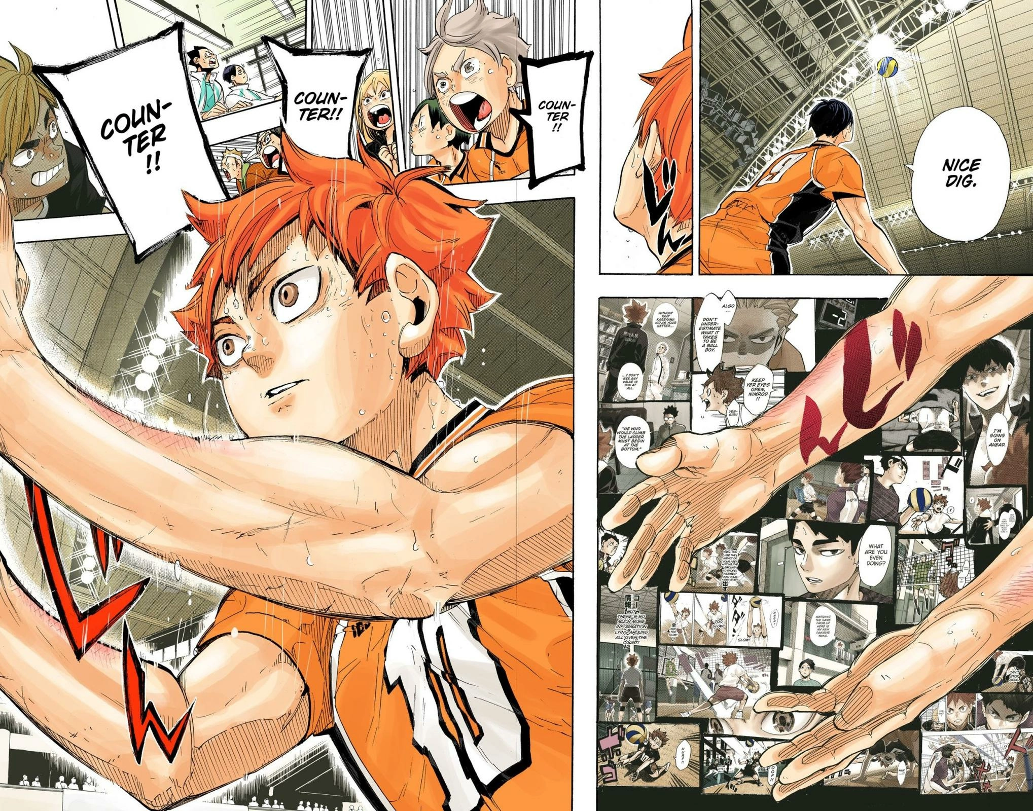Read Haikyu en Manga Online