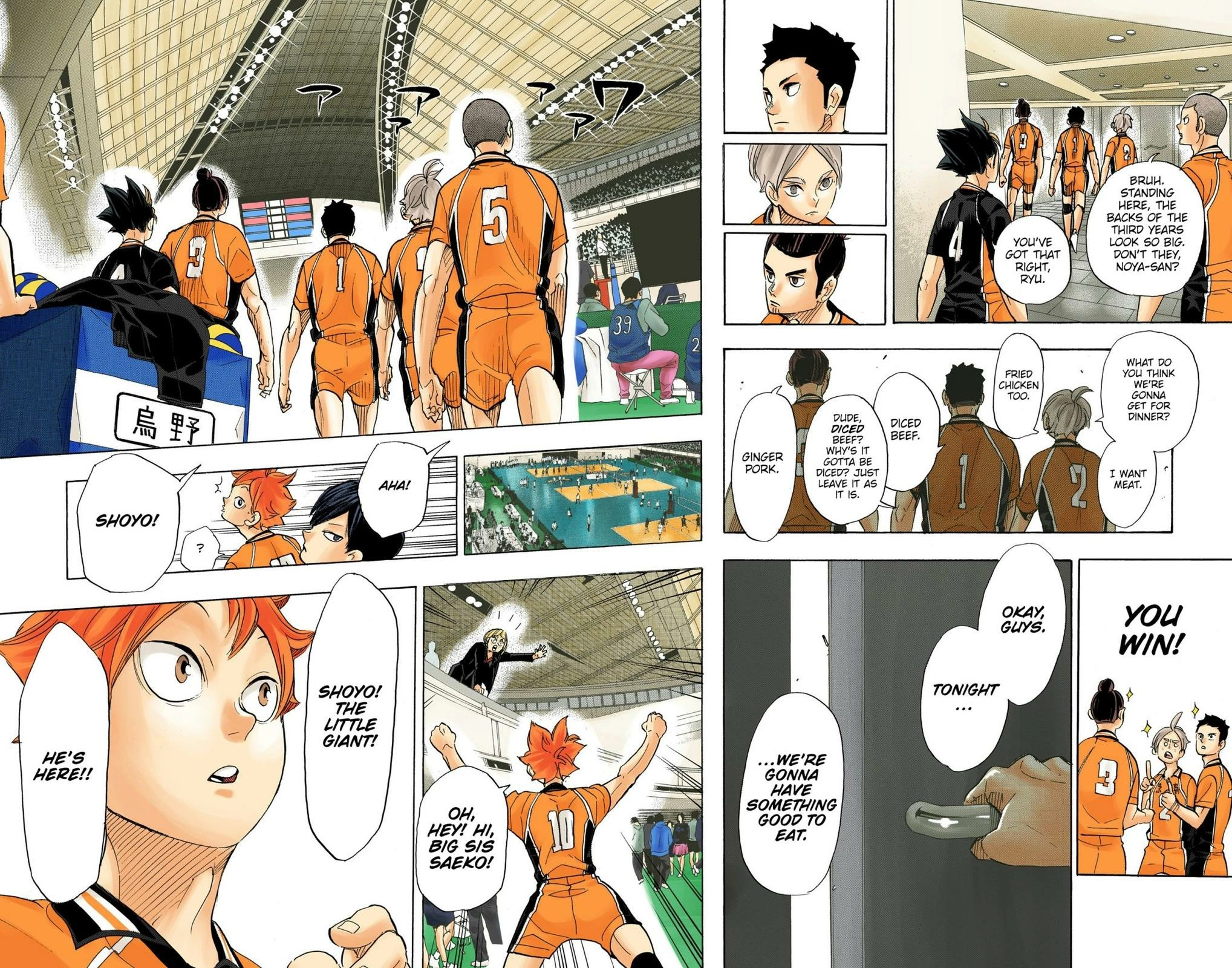Read Haikyu en Manga Online