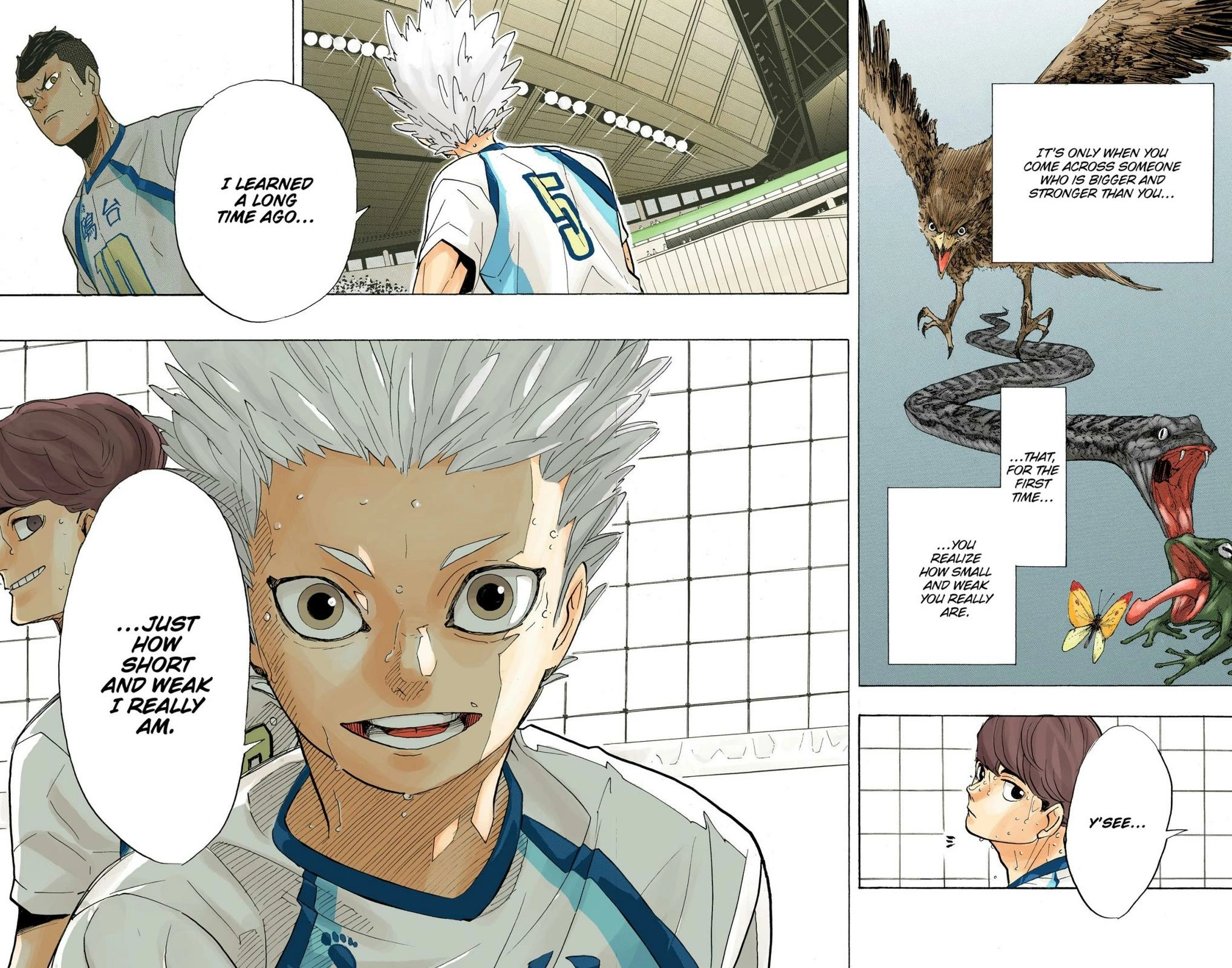 Read Haikyu en Manga Online