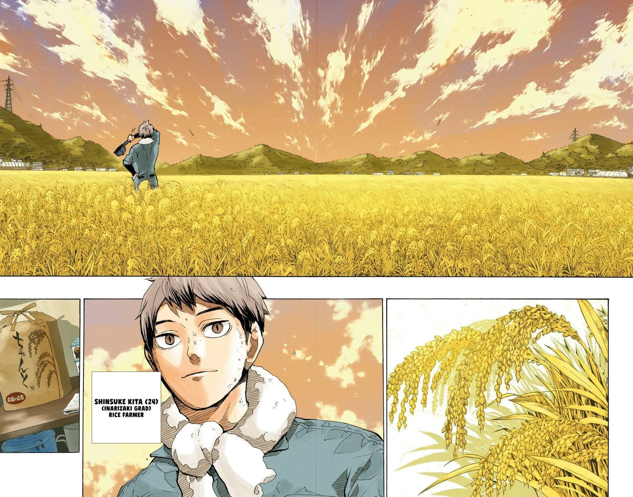 Read Haikyu en Manga Online