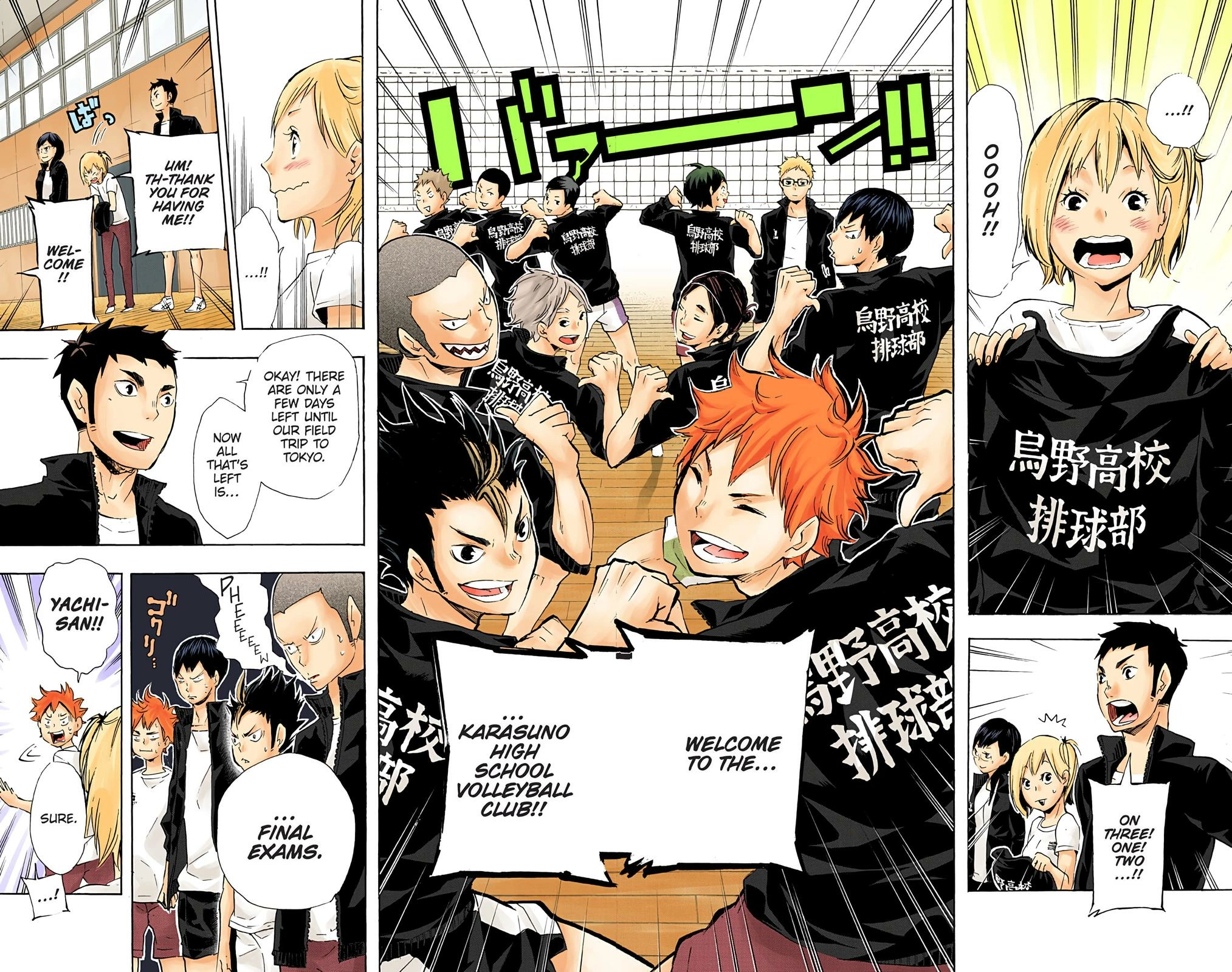 Read Haikyu en Manga Online
