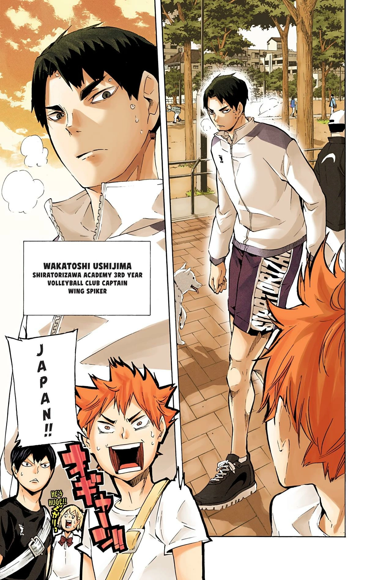 Read Haikyu en Manga Online