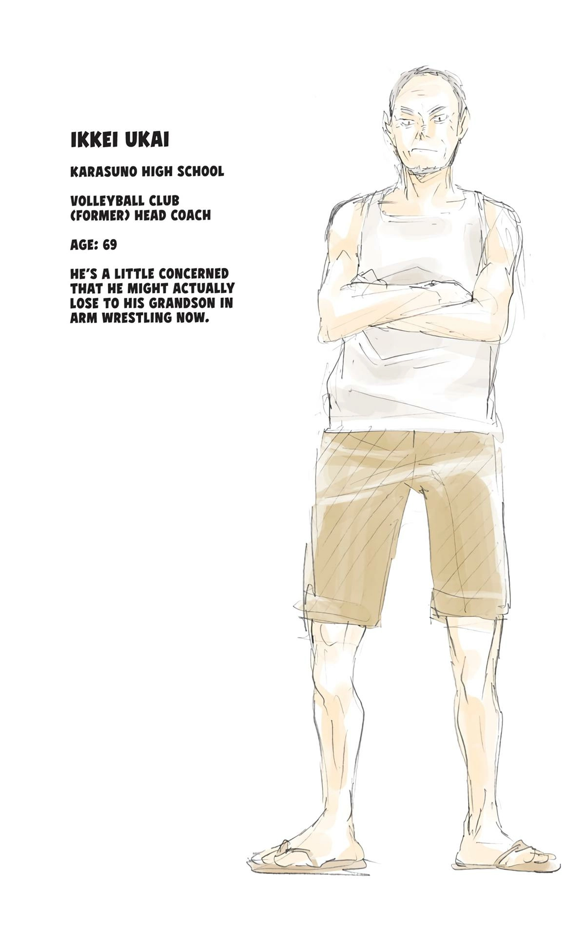 Read Haikyu en Manga Online