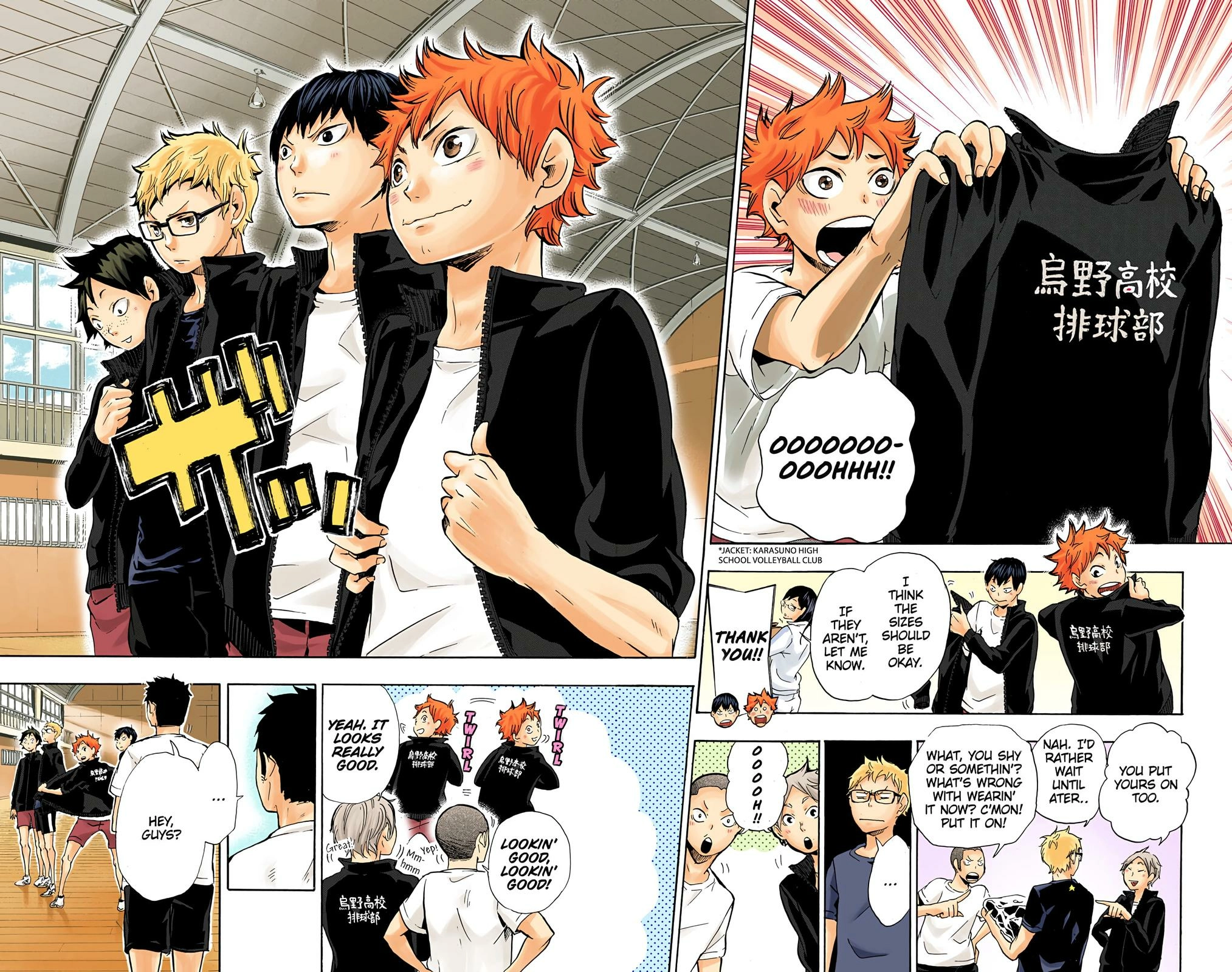 Read Haikyu en Manga Online
