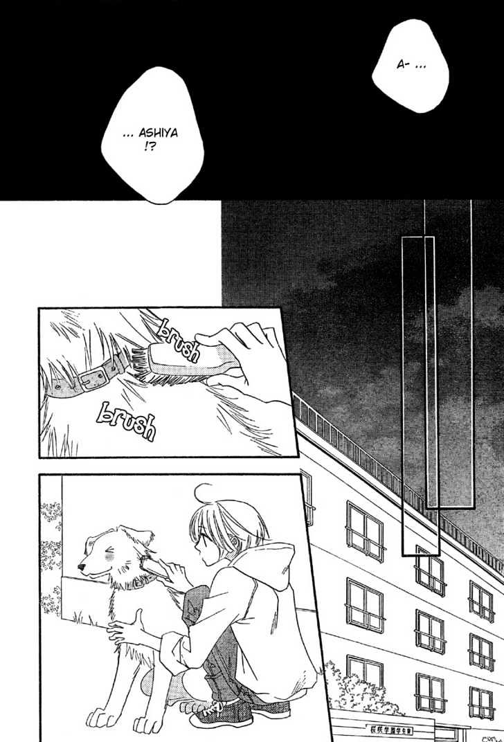 Read Hana Kimi en Manga Online