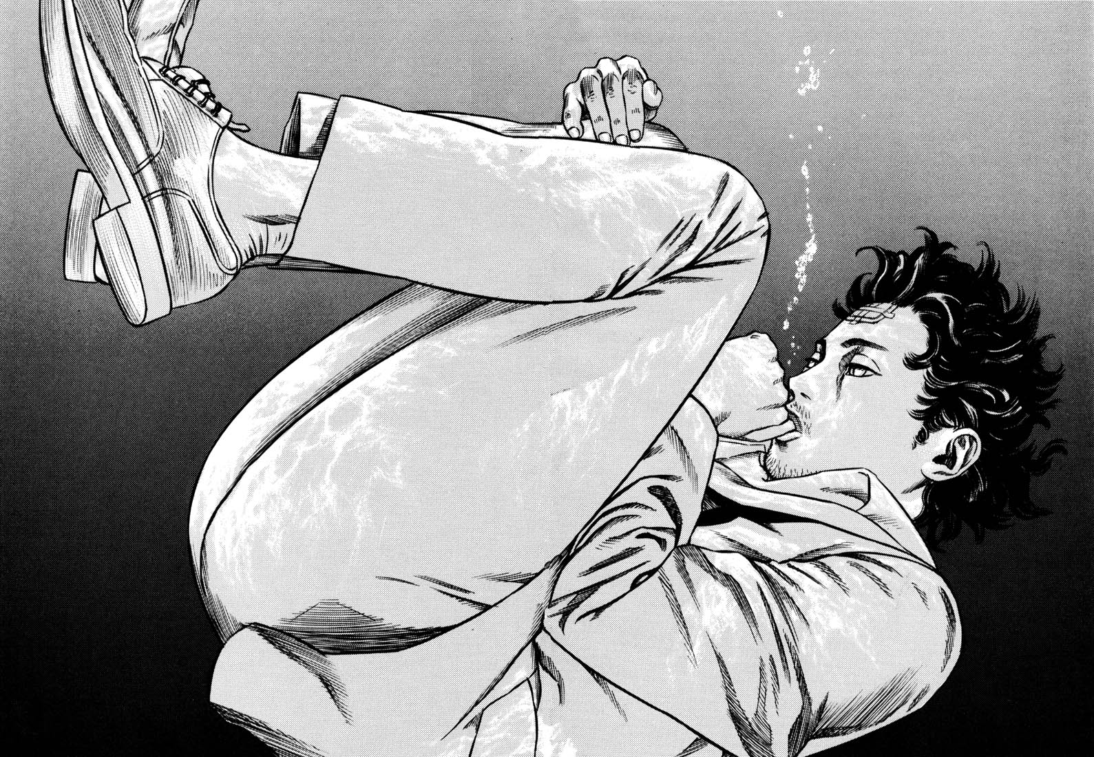 Read Homunculus en Manga Online