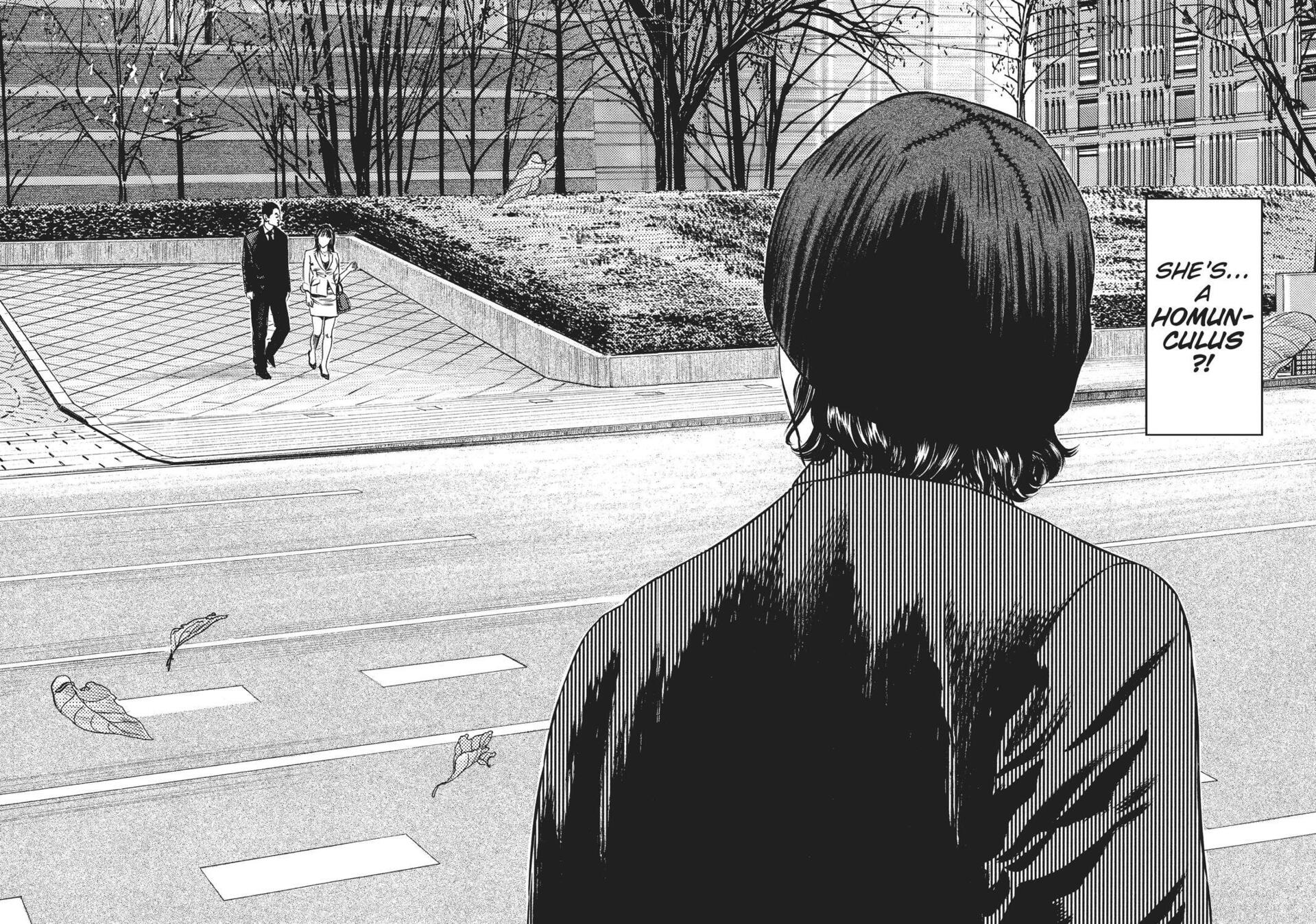 Read Homunculus en Manga Online