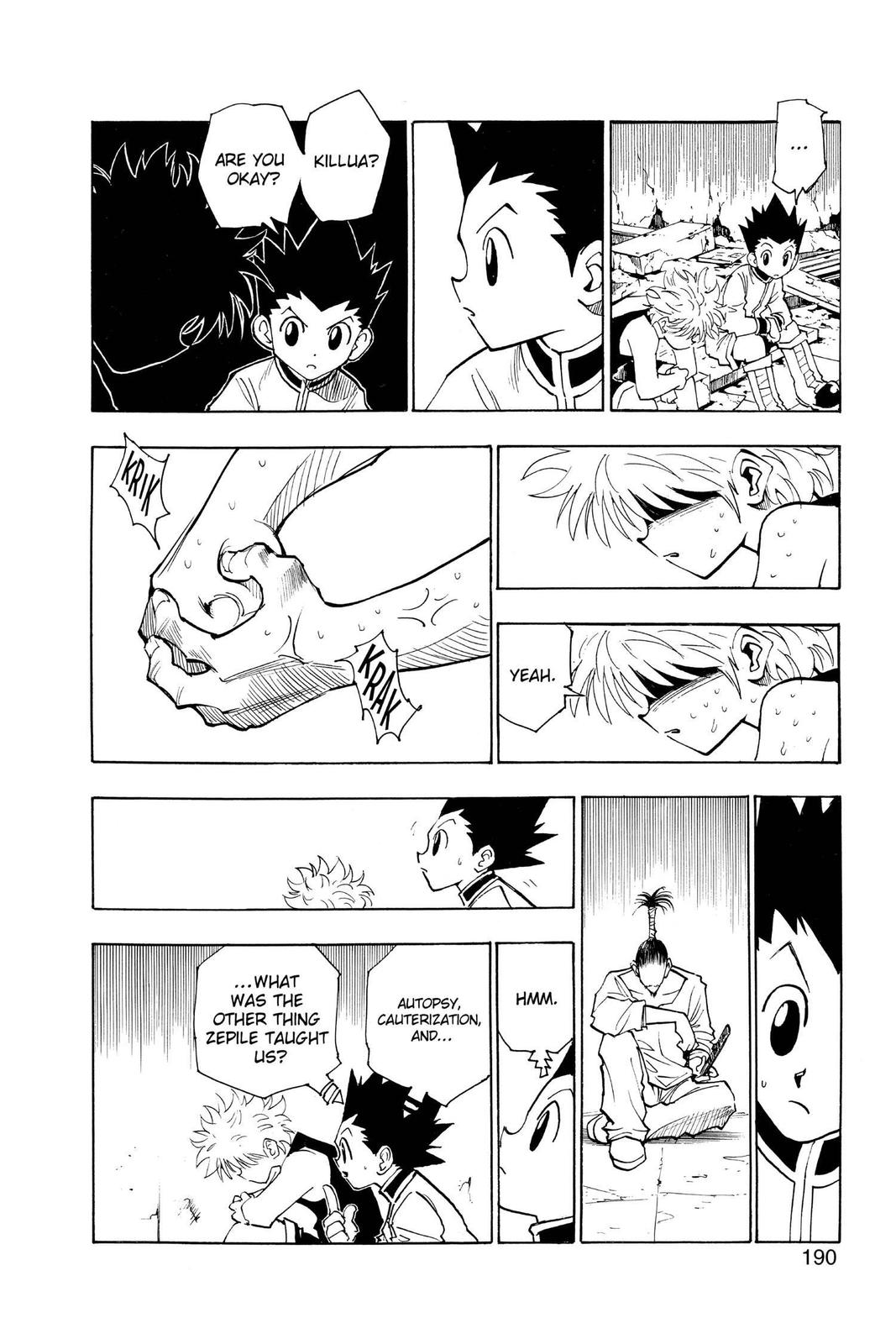 Read Hunter x Hunter en Manga Online