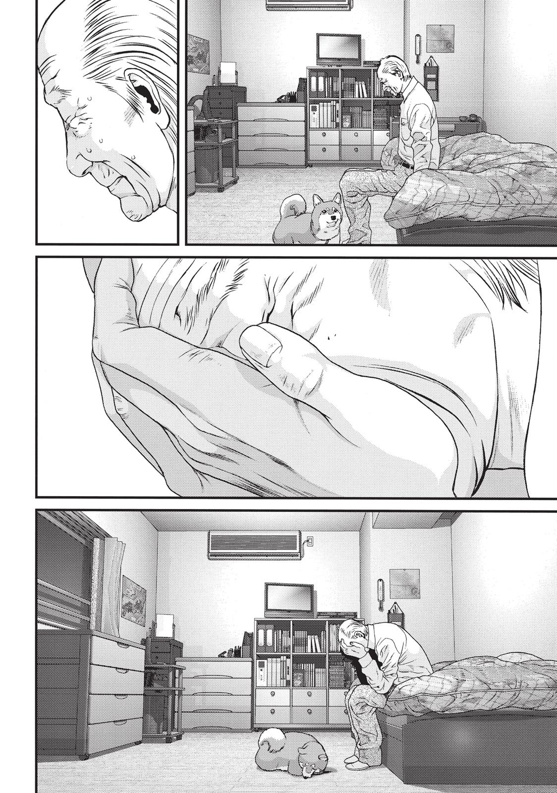 Read Inuyashiki en Manga Online