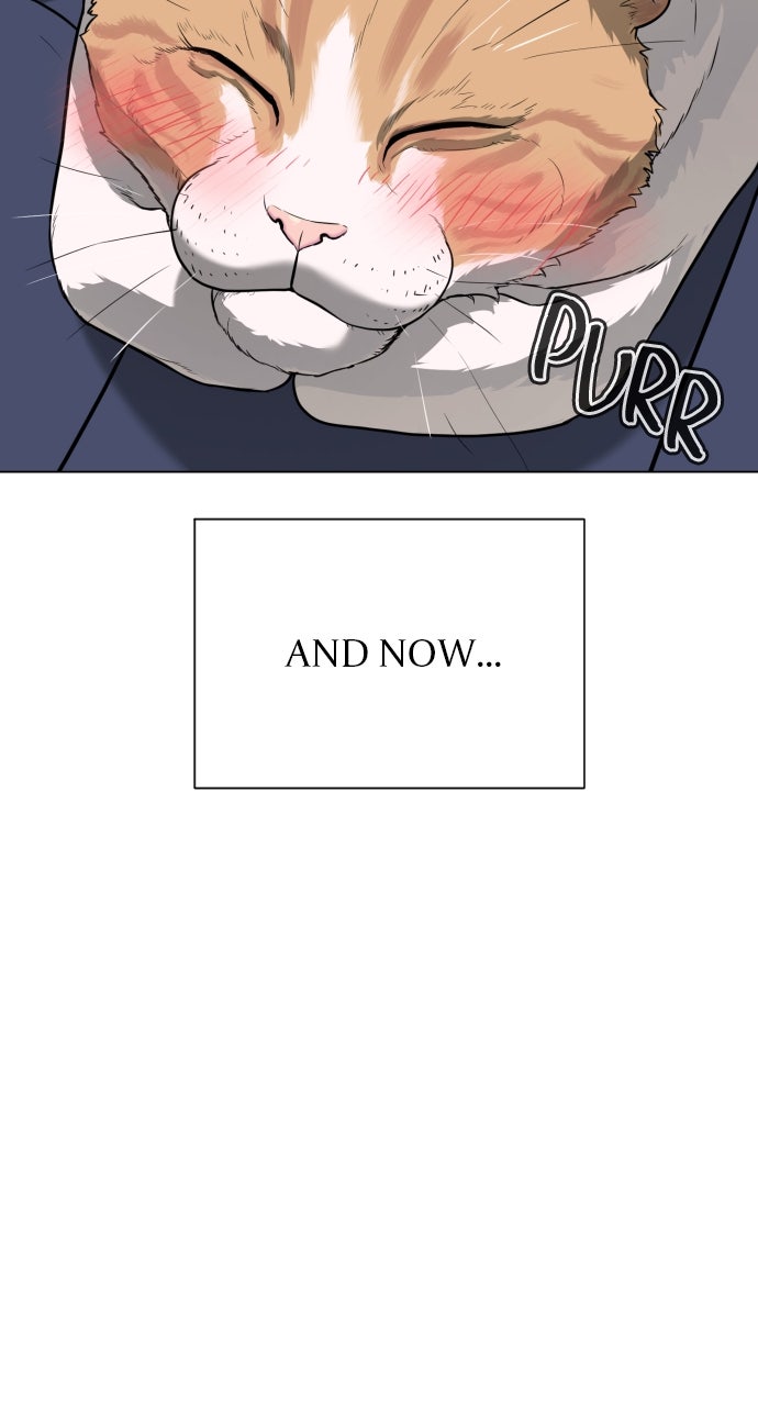 Read Killer Peter en Manga Online