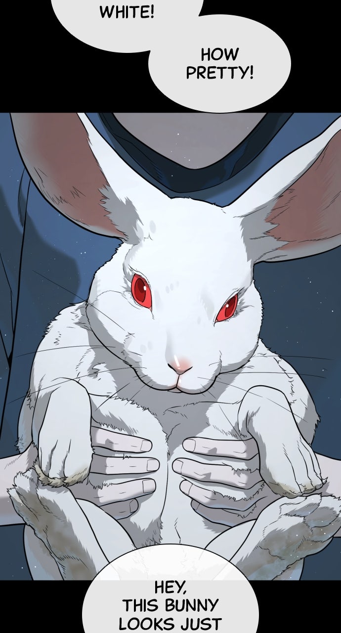 Read Killer Peter en Manga Online
