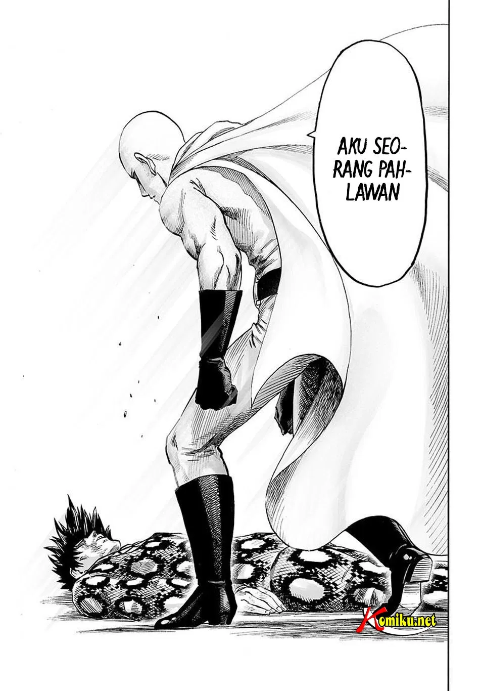 Read One Punch-Man ID Manga Online
