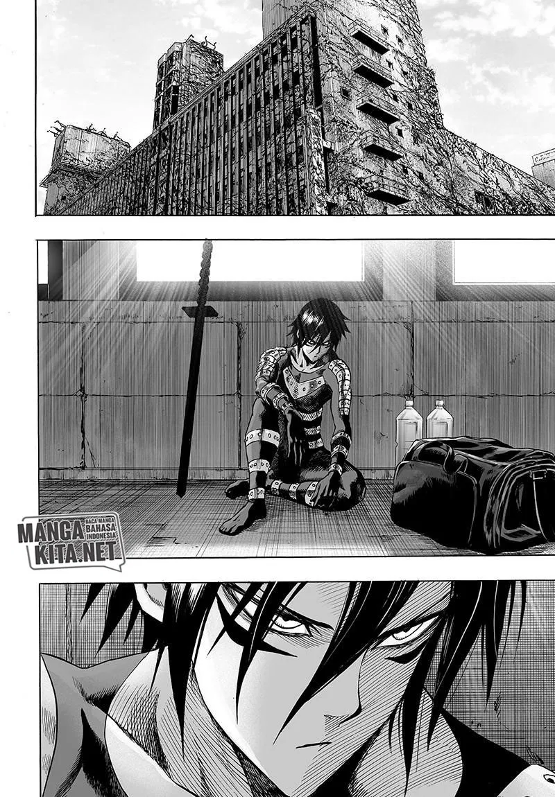 Read One Punch-Man ID Manga Online