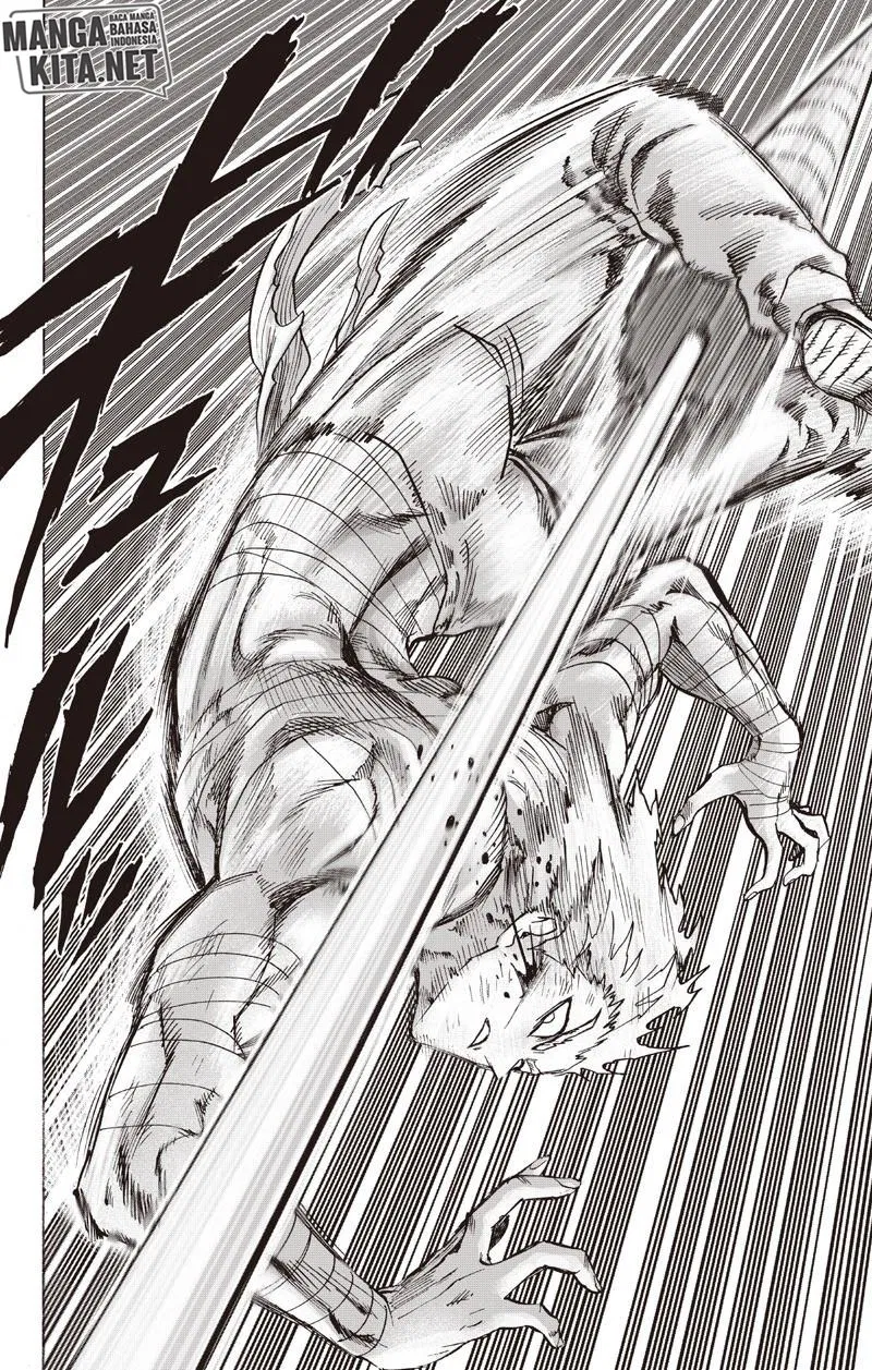 Read One Punch-Man ID Manga Online