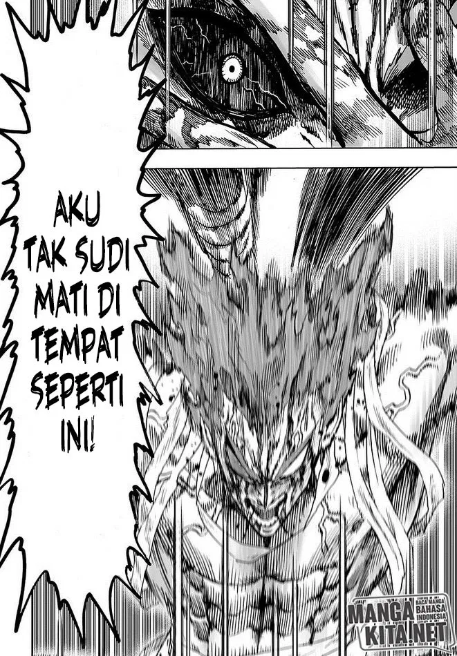 Read One Punch-Man ID Manga Online